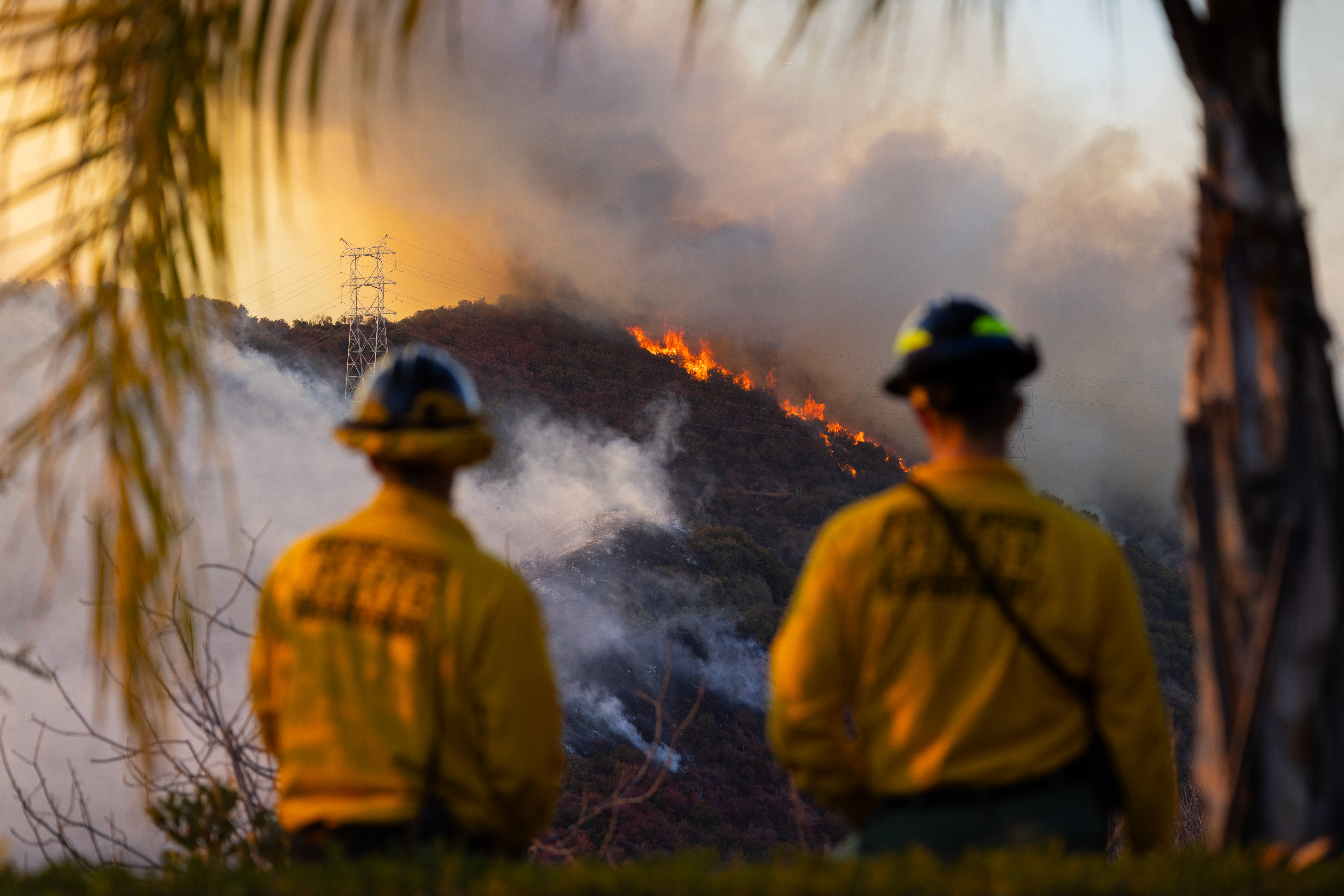 Feuerwehrleute aus Orem, Utah, haben ein Auge auf das Palisades Fire entlang des Mandeville Canyon in der Gemeinde Brentwood in Los Angeles, Kalifornien, am 11. Januar 2025 | Quelle: Getty Images