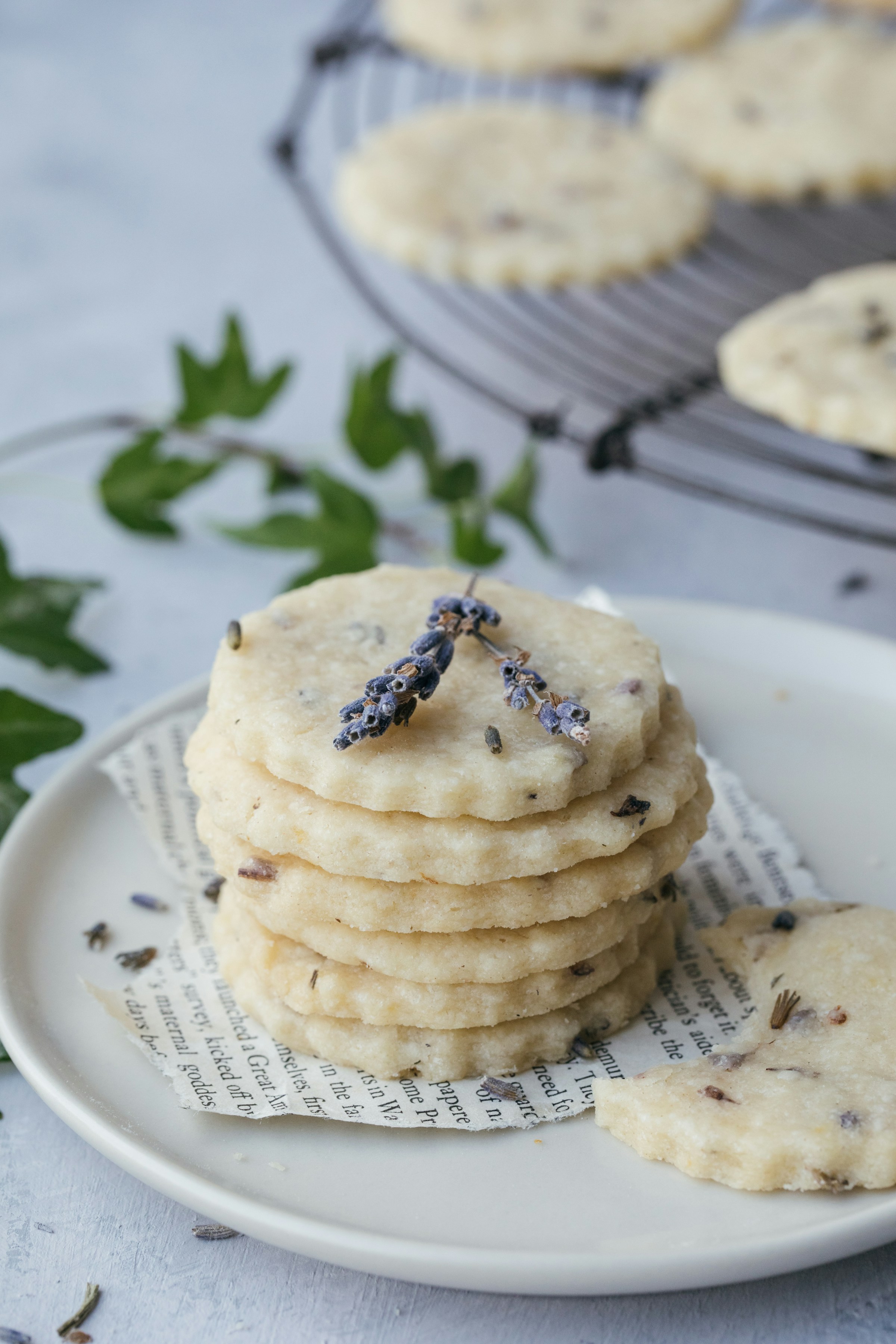 Shortbread-Kekse auf einem Teller | Quelle: Unsplash