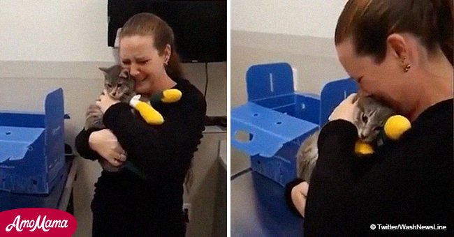 Eine Frau konnte ihre Tränen nicht zurückhalten, als ihre Katze wieder sah