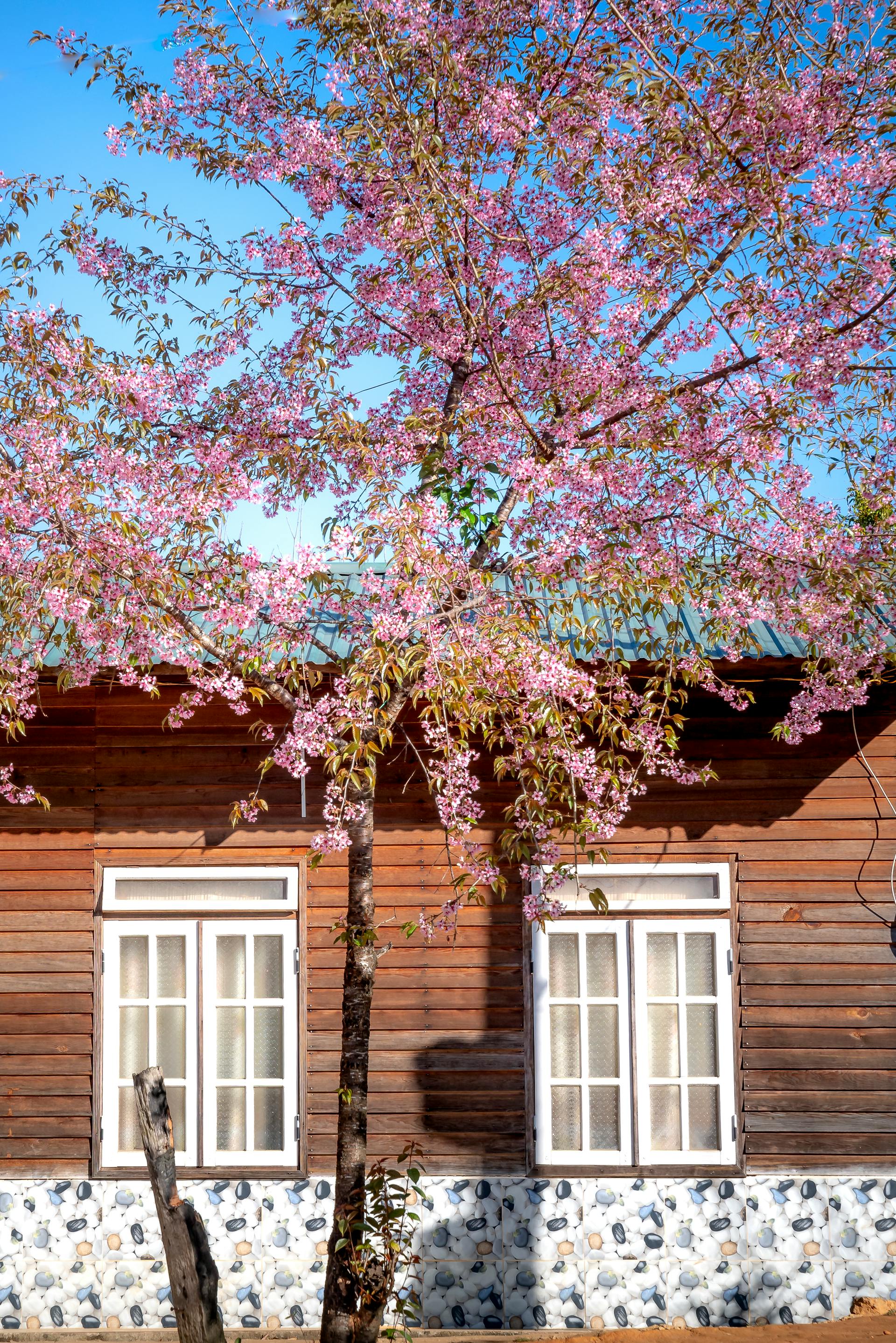 Hausfenster | Quelle: Pexels