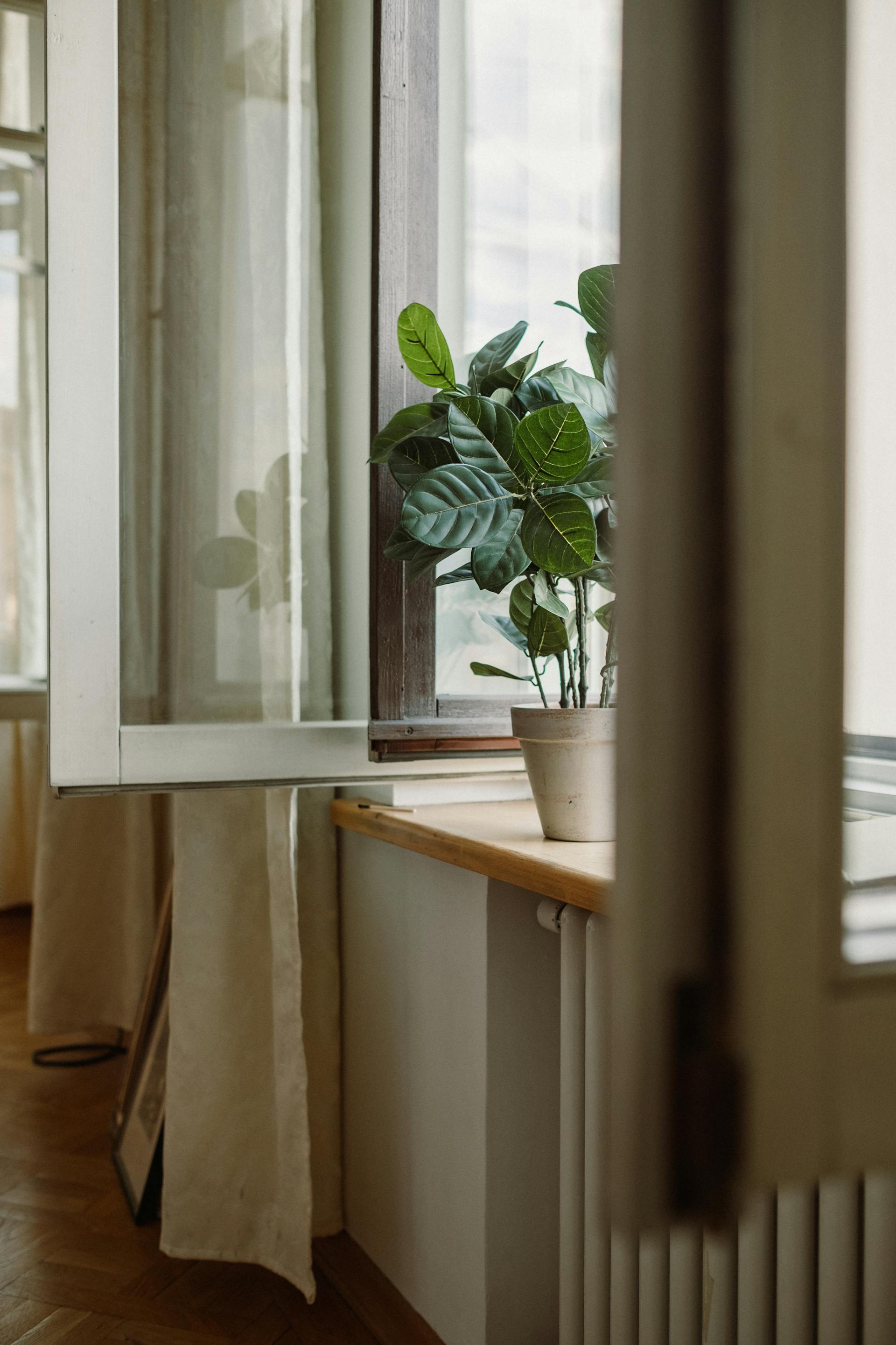 Offene Fenster in einem Haus | Quelle: Pexels