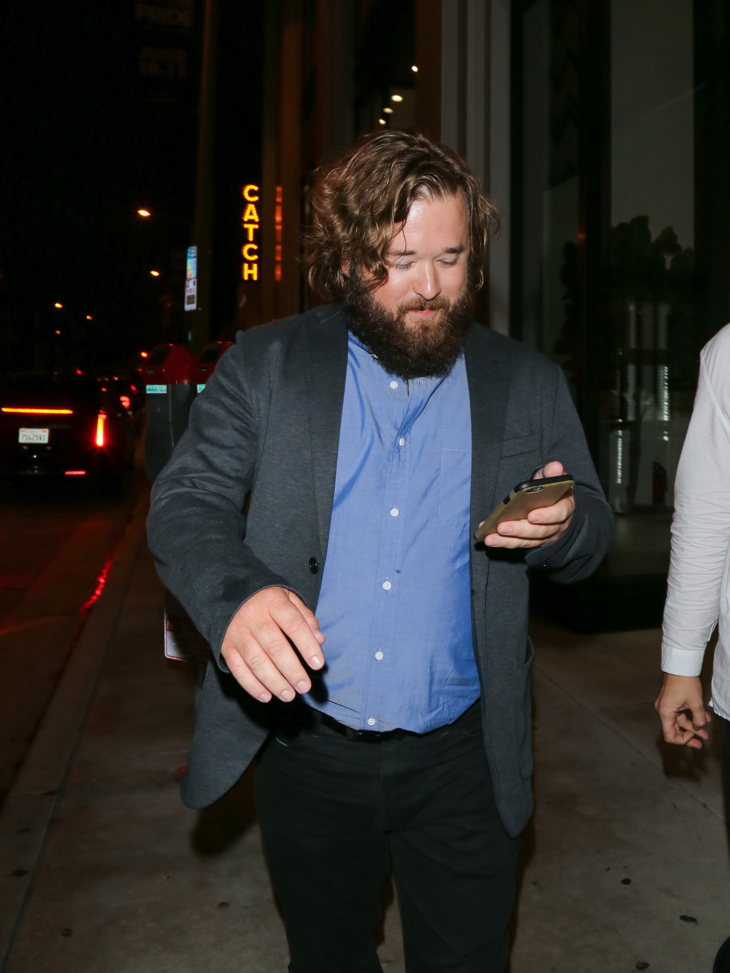 Haley Osment, gesehen am 5. Juni 2017 in Los Angeles, Kalifornien. | Quelle: Getty Images