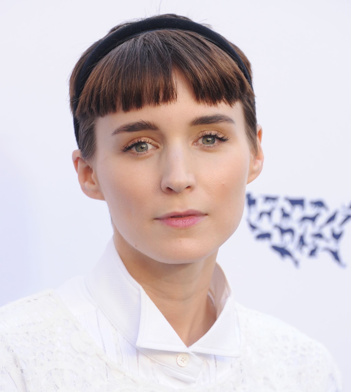 Rooney Mara nahm an der jährlichen Benefizveranstaltung der Humane Society To The Rescue! Los Angeles Benefizveranstaltung 2017 teil und zeigte damit ihr Engagement für Tierrechte und ethische Anliegen, die mit ihren persönlichen Werten übereinstimmen. | Quelle: Getty Images