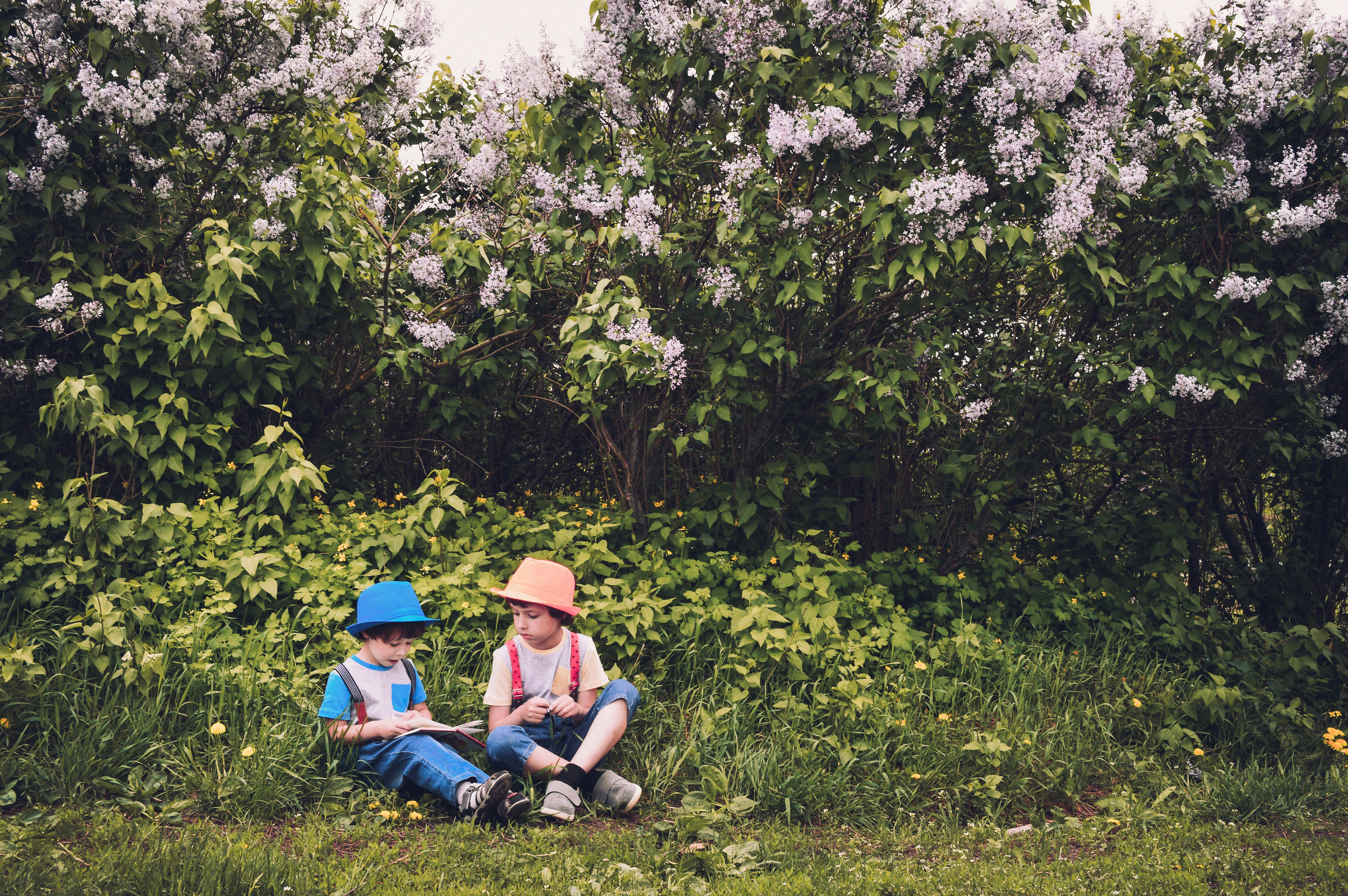 Kinder spielen im Park | Quelle: Pexels