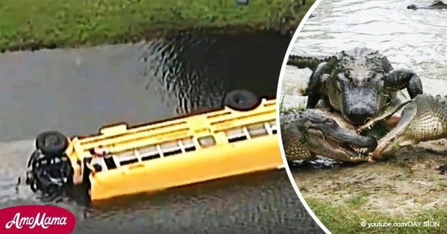 Ein 10-jähriger Junge rettete einen Bus mit 27 Kindern, der in einen Teich voller Alligatoren gefallen war