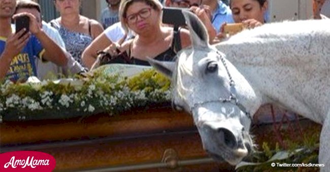 Nach dem Tod des Besitzers überraschte das Pferd alle auf dem Begräbnis, weil es auch trauerte