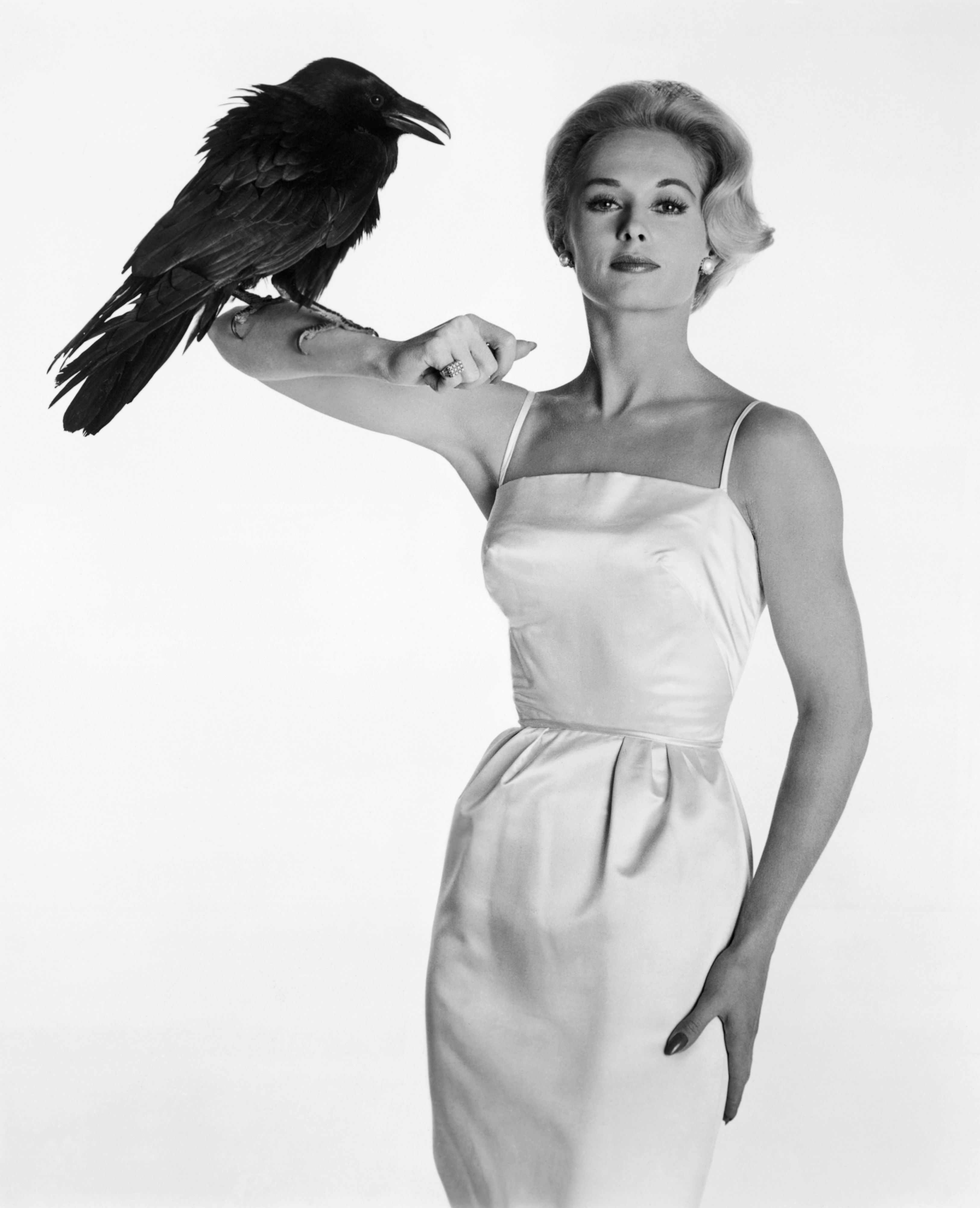 Tippi Hedren im Jahr 1963. | Quelle: Getty Images