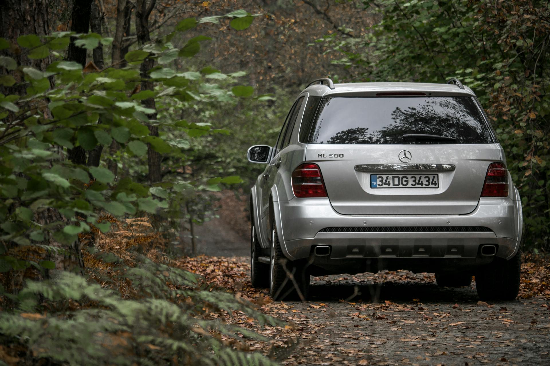 Ein Auto, das in einem Wald geparkt ist | Quelle: Pexels