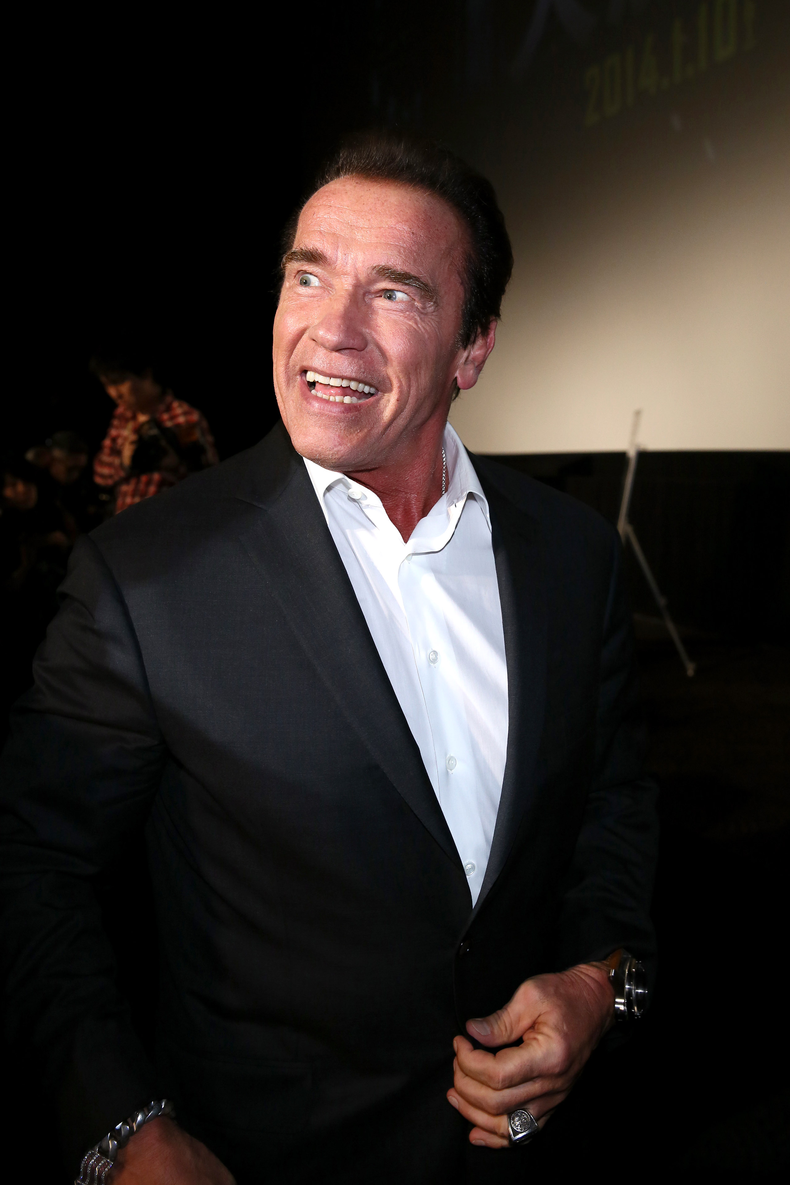 Er hat sie zum Mittagessen eingeladen, und so hat alles angefangen. Auf diesem Foto war der Schauspieler bei der "Escape Plan" stage greeting at Roppongi Hills on December 3, 2013, in Tokyo, Japan. | Source: Getty Images