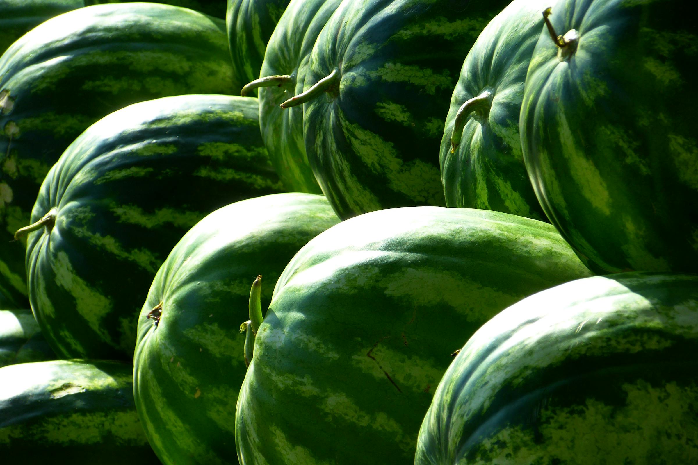 Auswahl an Wassermelonen | Quelle: Pexels