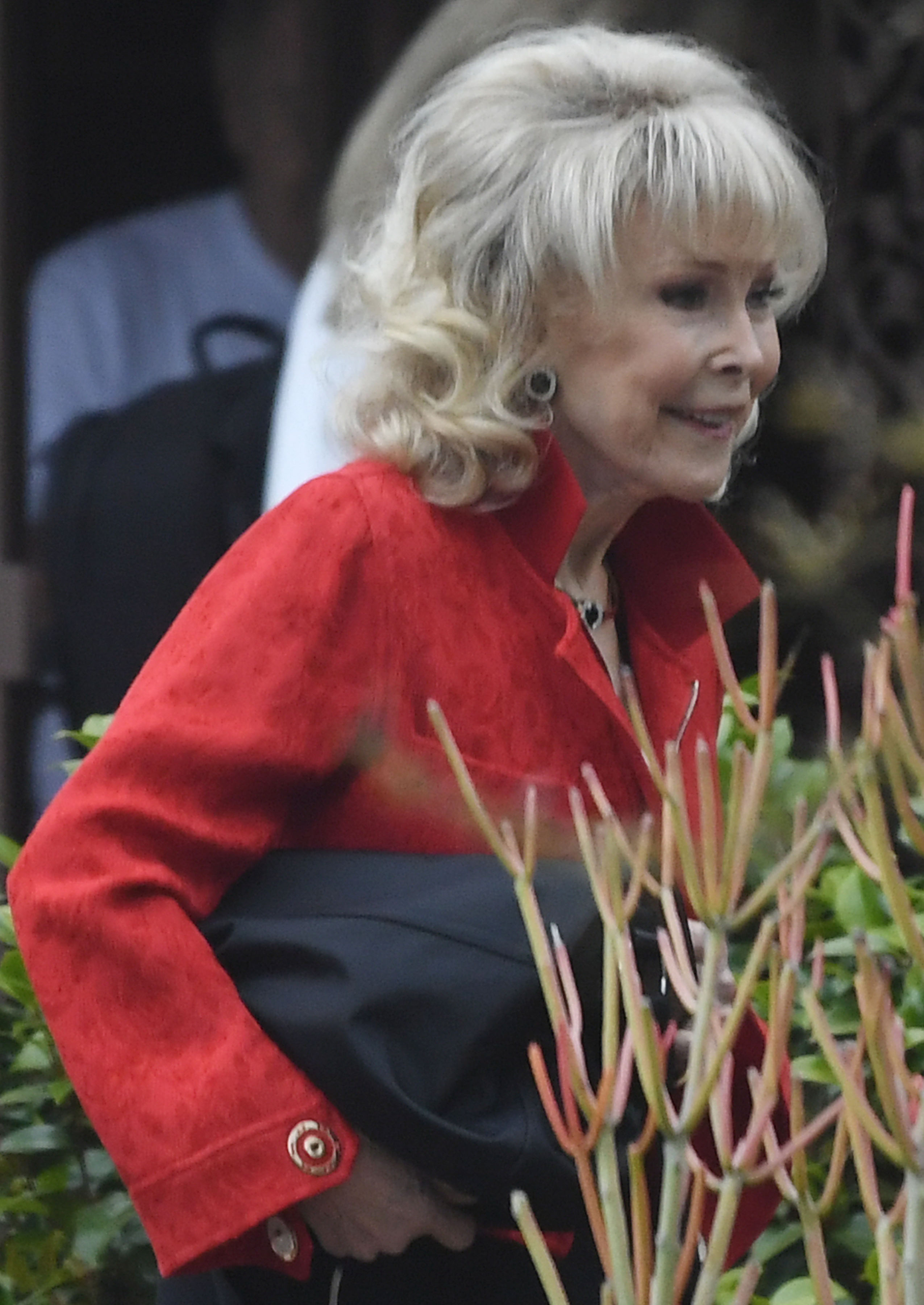 Barbara Eden trägt ihre Tasche am 23. Mai 2024 in Los Angeles, Kalifornien. | Quelle: Getty Images