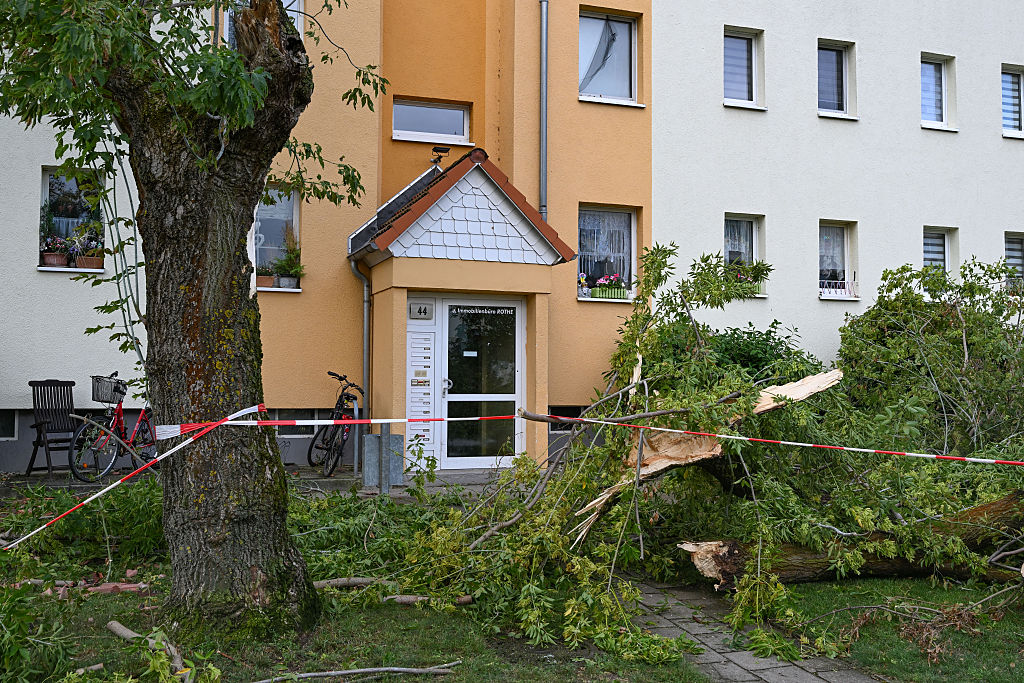 20. August 2026, Brandenburg, Fürstenwalde/Spree: Nach einem Tornado liegen abgebrochene Äste vor einem Wohnhaus. Der Deutsche Wetterdienst bestätigt, dass ein Tornado Fürstenwalde/Spree in Brandenburg heimgesucht hat | Quelle: Getty Images