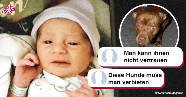 Ein Pitbull tötete ein 6 Tage altes Baby: Der Hund kroch in das Kinderbett, als das Baby alleine war