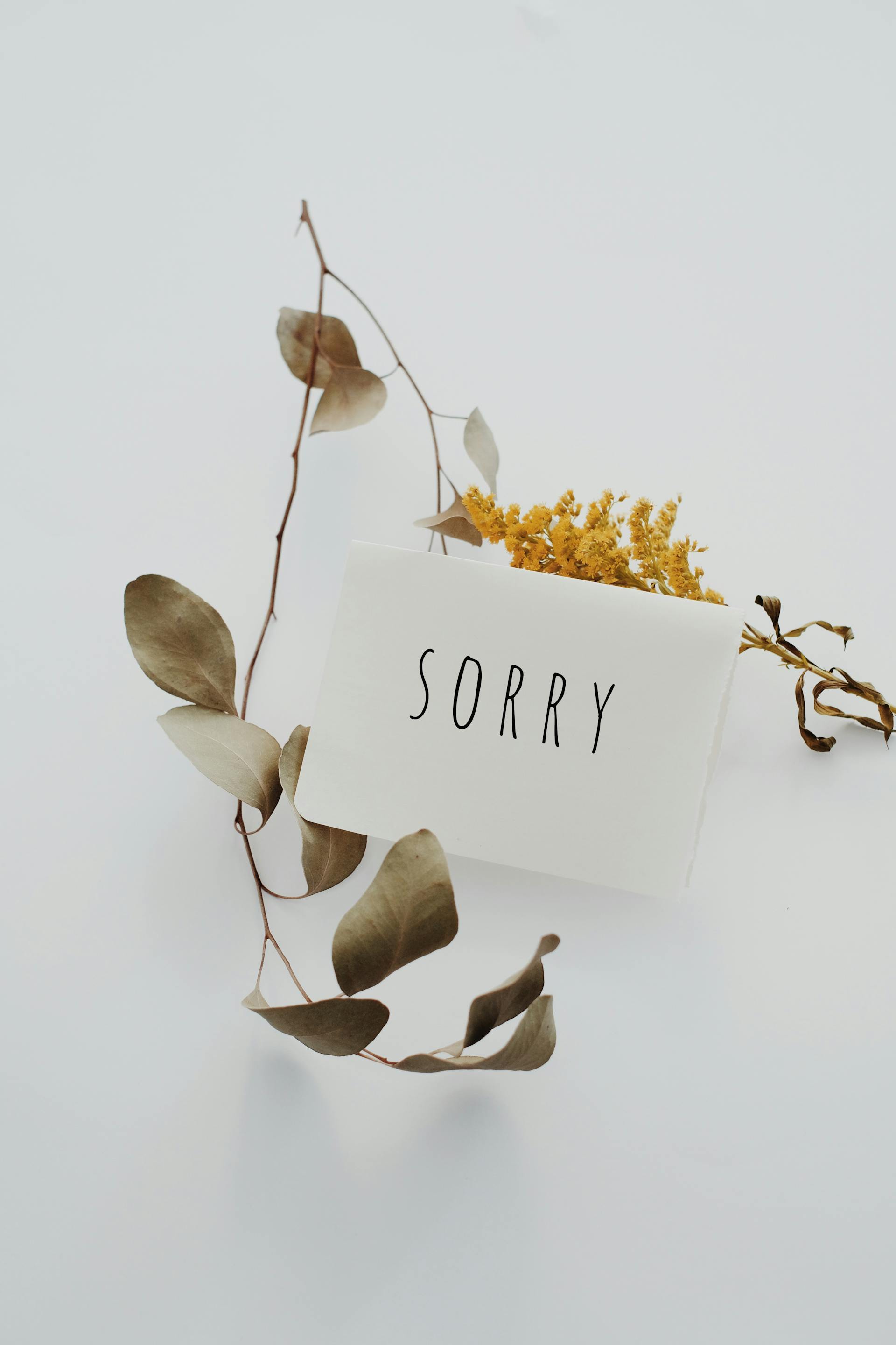 Das Wort "Sorry", geschrieben auf einer Postkarte | Quelle: Pexels