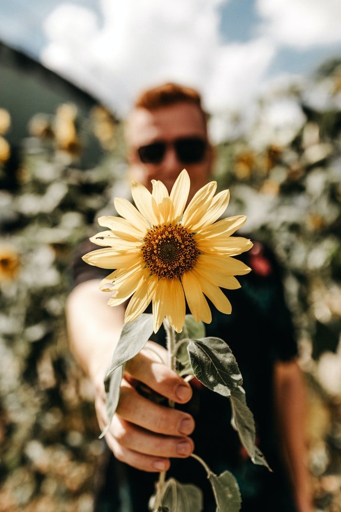 Ich habe Meghan Wildblumen mitgebracht | Quelle: Unsplash