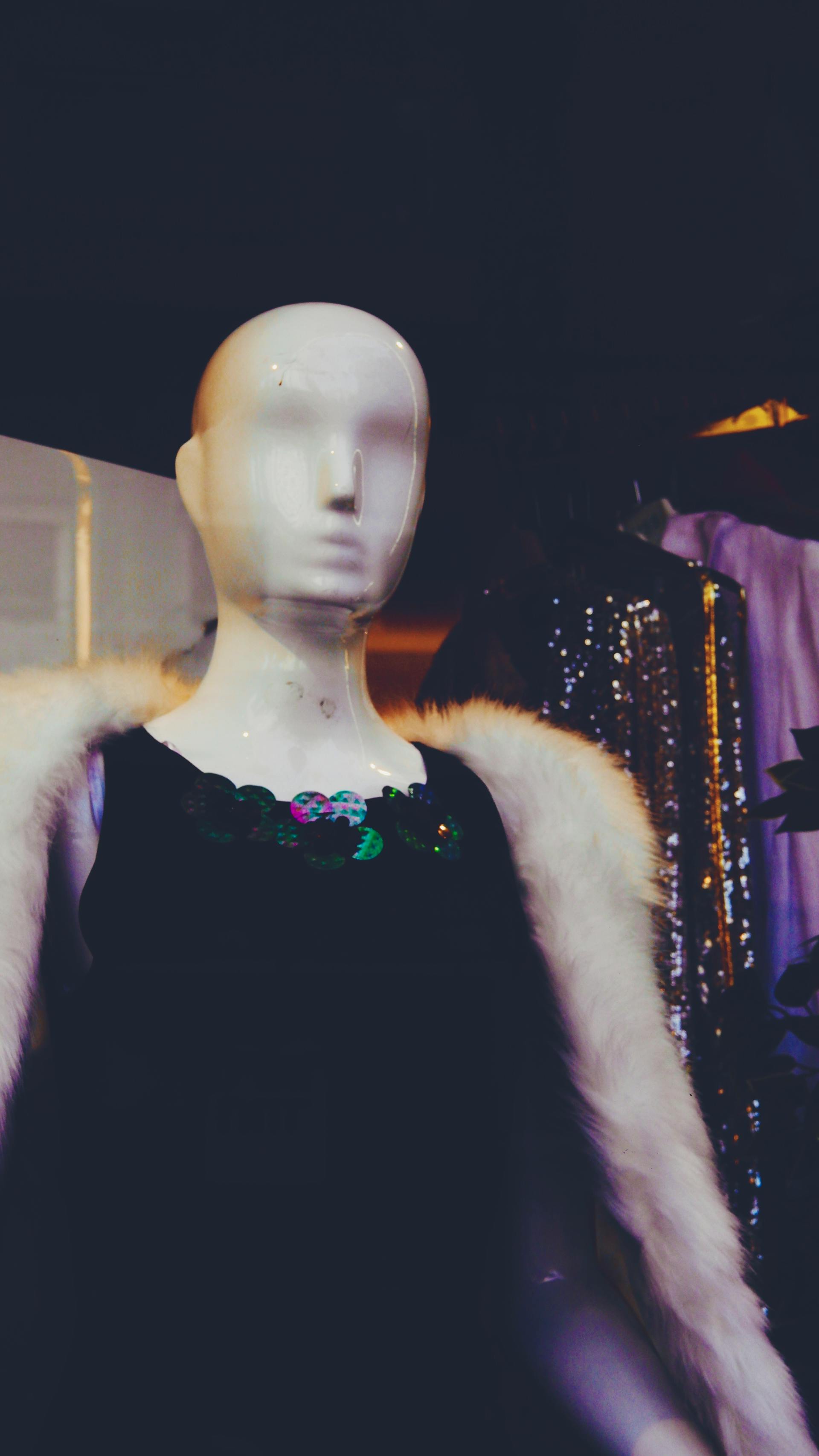 Eine Schaufensterpuppe in einem Schaufenster | Quelle: Pexels