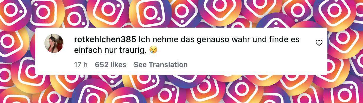 Kommentar unter Anna Heisers Video | Quelle: Instagram