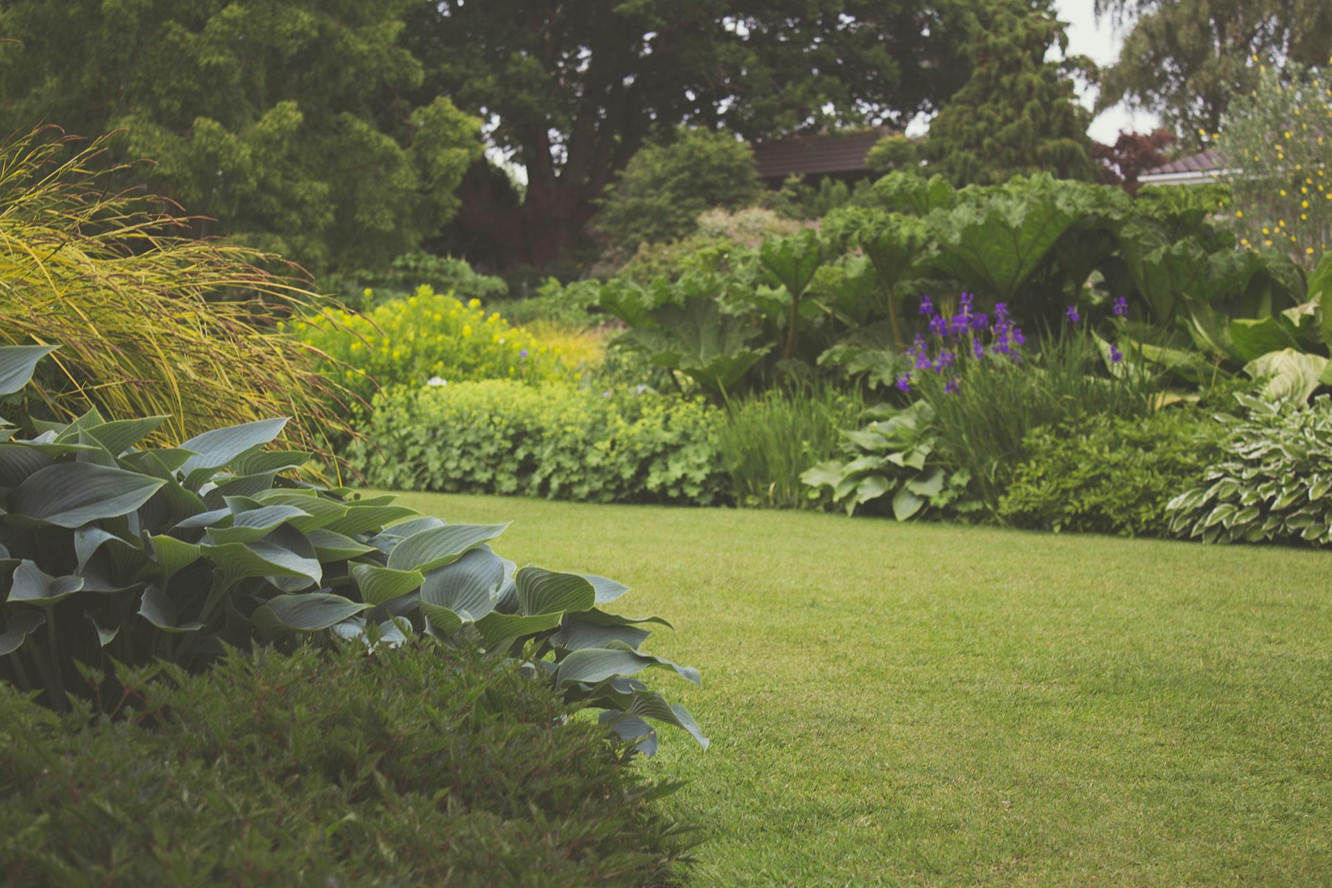 Ein gut gepflegter Garten | Quelle: Pexels