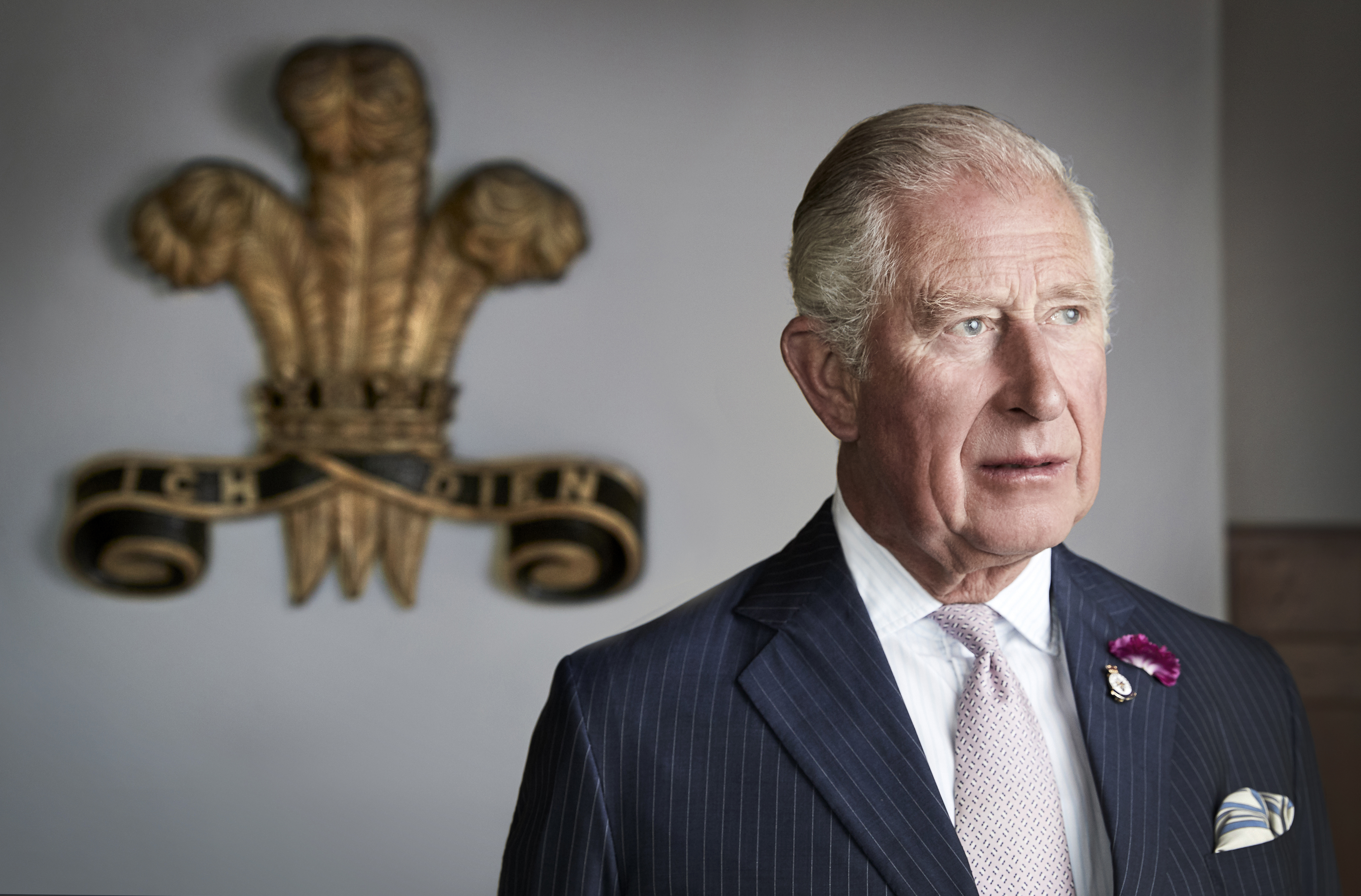König Charles posiert für ein offizielles Porträt am 2. Juli 2019 in Myddfai, Wales, Vereinigtes Königreich | Quelle: Getty Images