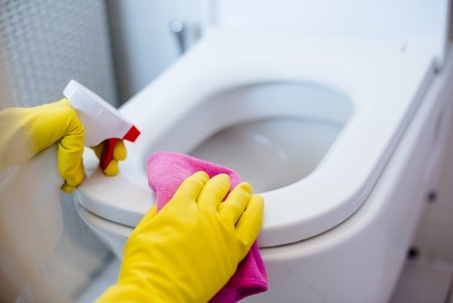 Reinigung einer Toilette | Quelle: Shutterstock