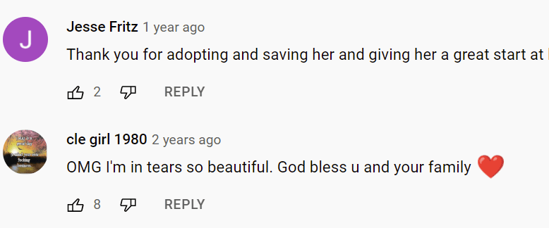 Kommentare von Nutzern zum Video eines 10-jährigen Jungen, der mit einem neuen Geschwisterchen überrascht wurde.  | Quelle: YouTube/Love What Matters