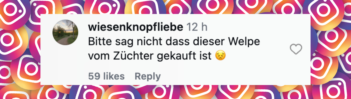 Nutzer-Kommentar | Quelle: https://www.instagram.com/reels/DZnevM5sP-3/