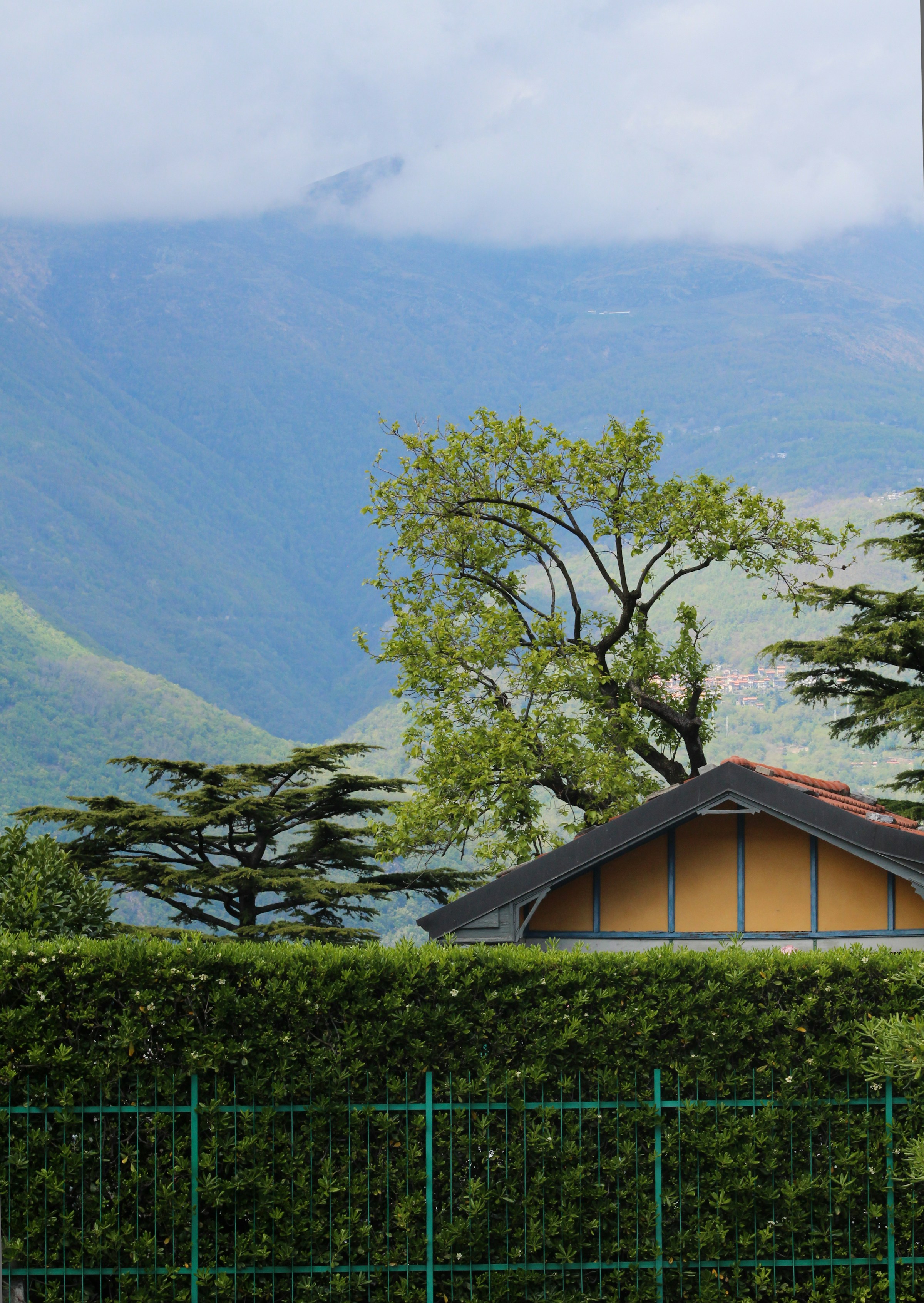 Nahaufnahme eines Heckenzauns vor einem Haus | Quelle: Unsplash