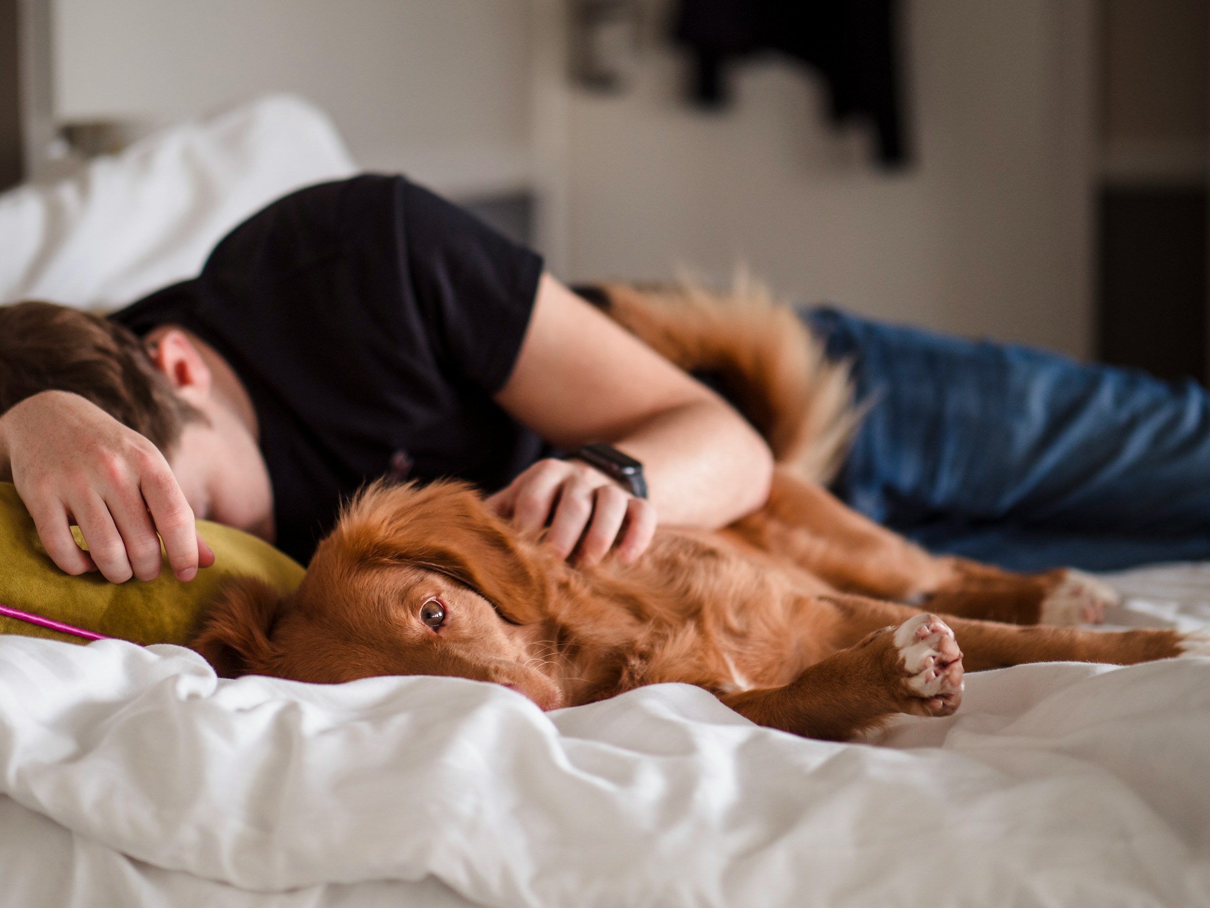Ein Mann schläft neben einem Hund | Quelle: Unsplash