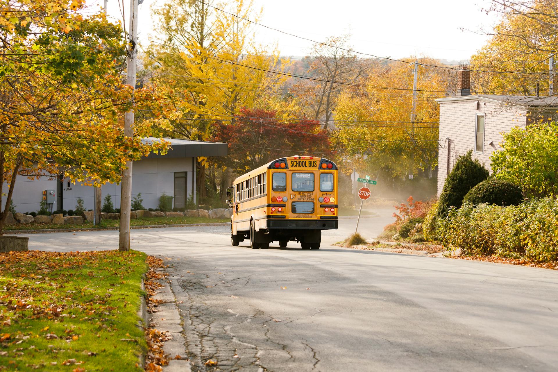 Ein Schulbus fährt durch einen Vorort | Quelle: Pexels