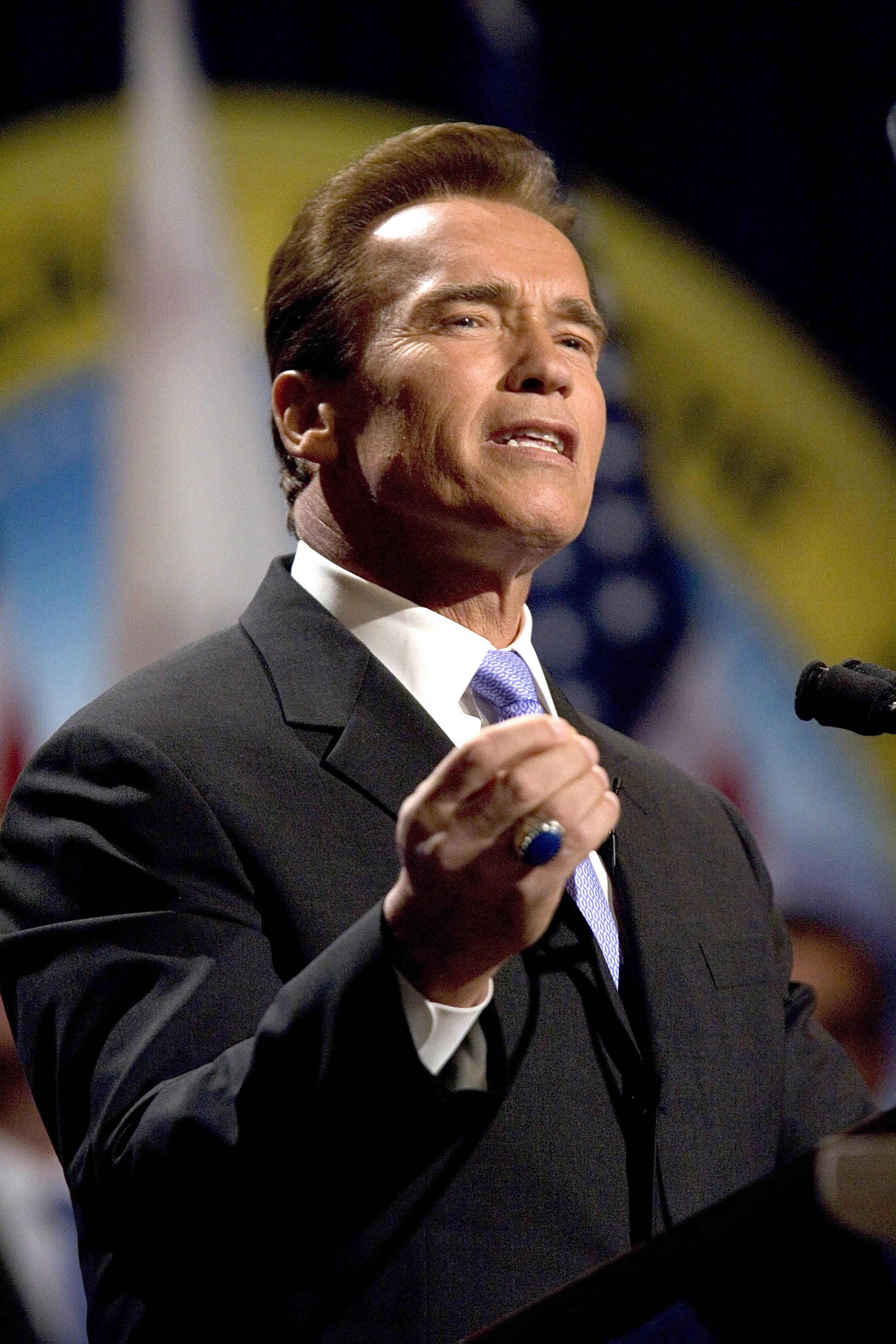 Arnold Schwarzenegger in Kalifornien im Jahr 2007 |  Quelle: Getty Images