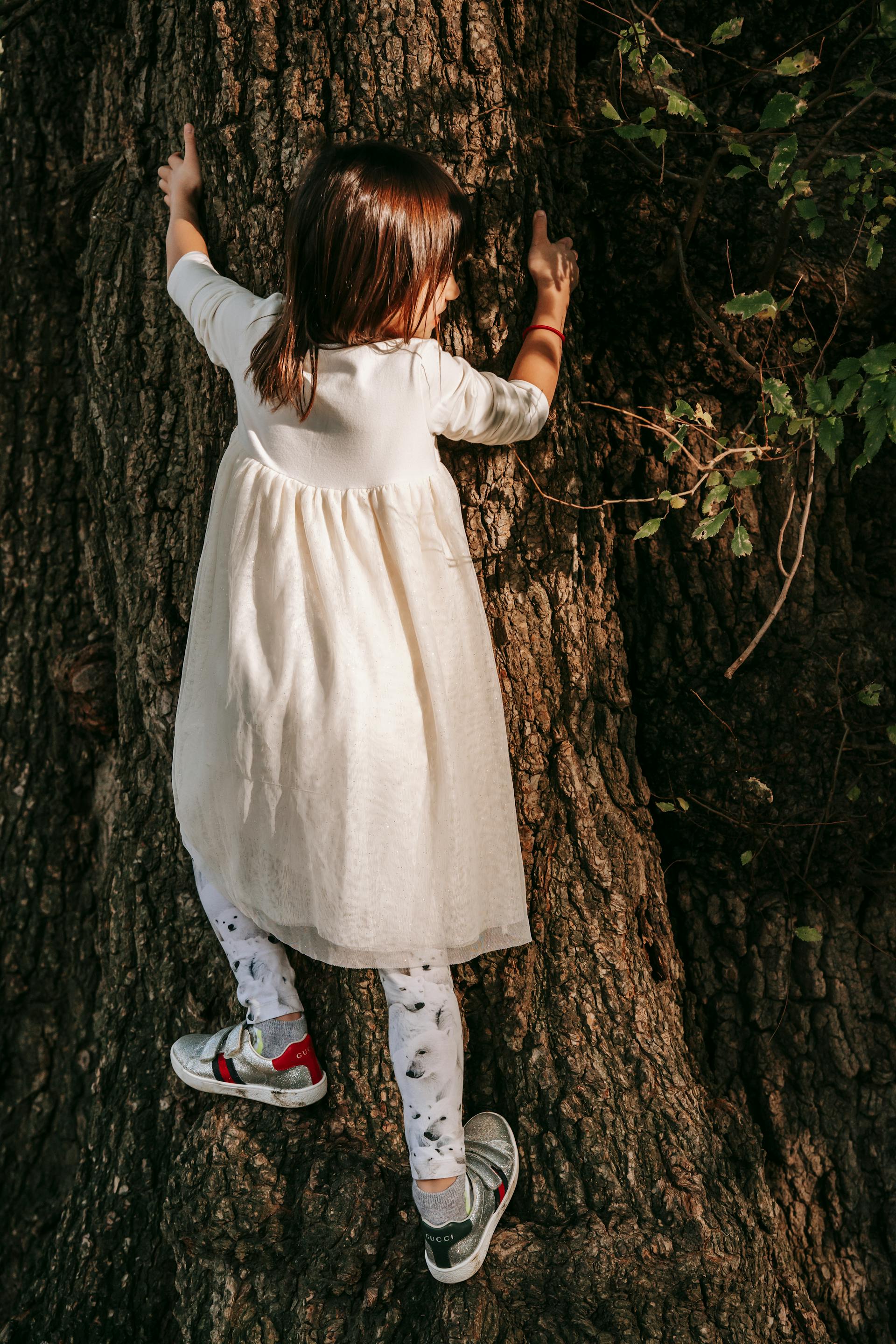 Ein kleines Mädchen klettert auf einen Baum | Quelle: Pexels