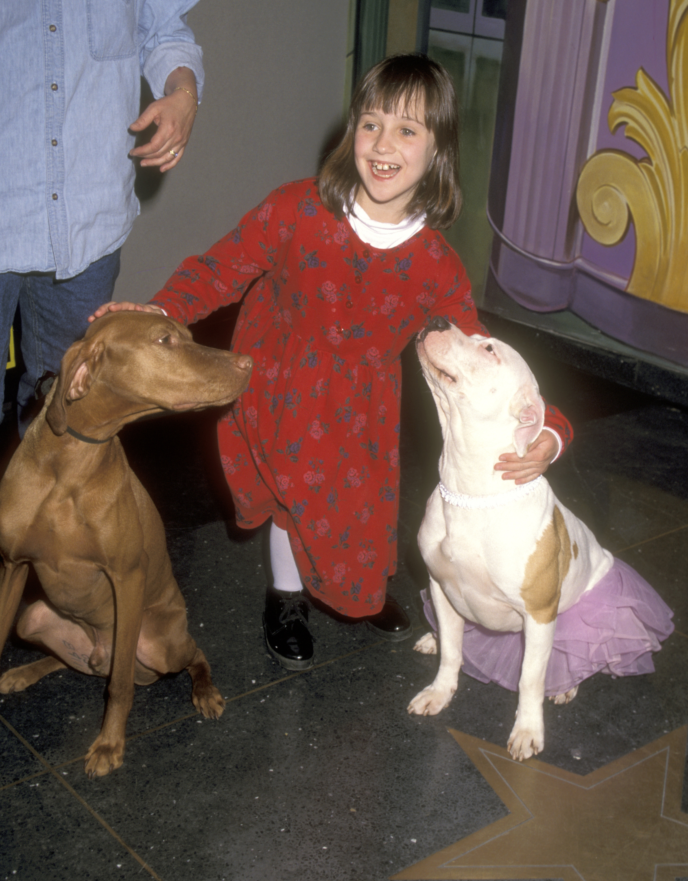 Mara Wilson besucht das M&amp;M's Candies Hollywood for Children Family Film Festival im Sony IMAX Theater am 8. April 1996 in New York City. | Quelle: Getty Images