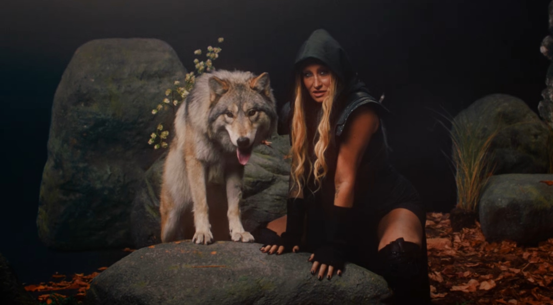 Sarah Connor und ein Wolf – Screenshot aus Sarah Connors neuestem Musikvideo | Quelle: YouTube/Sarah Connor Official