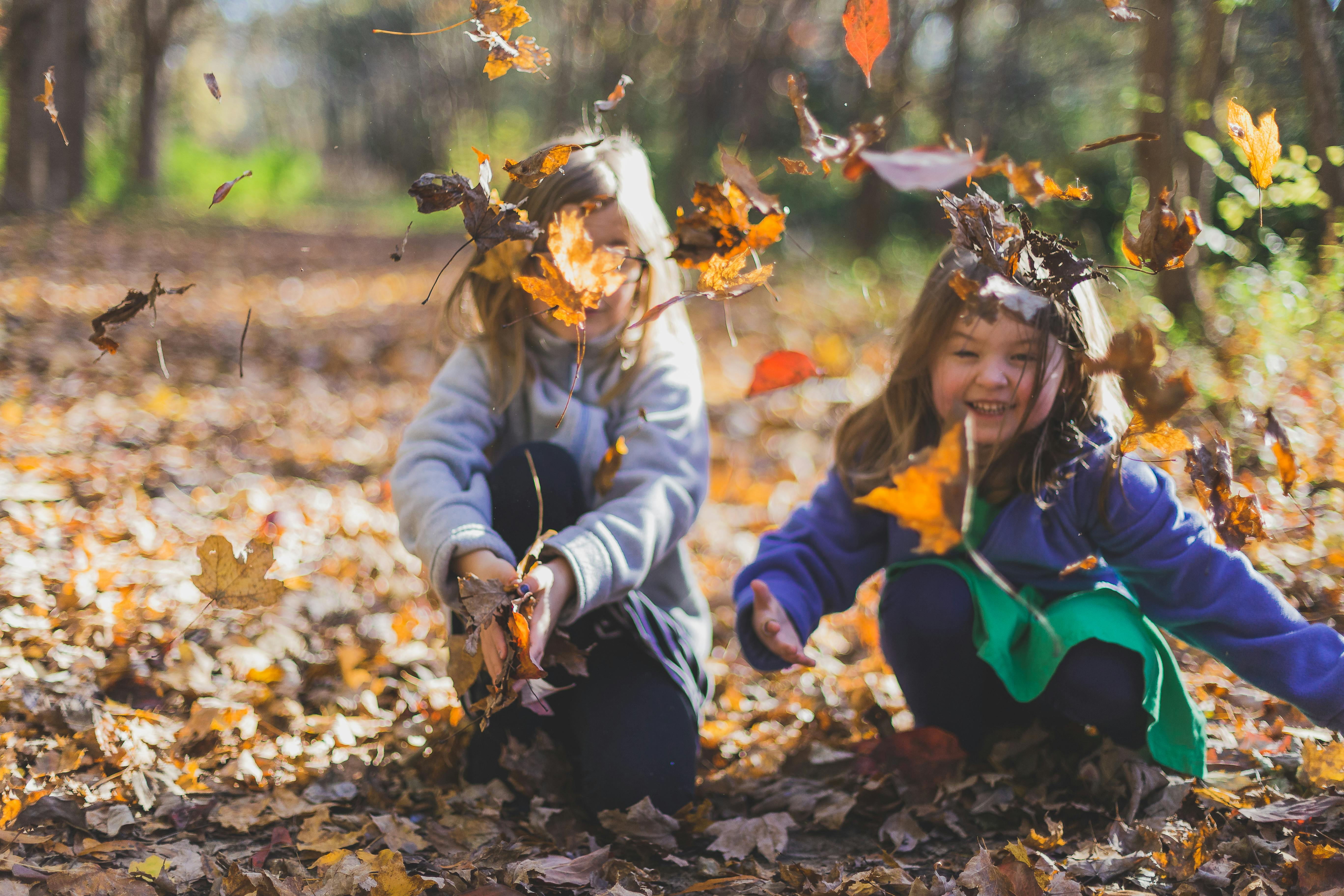 Kinder spielen im fallenden Laub | Quelle: Pexels