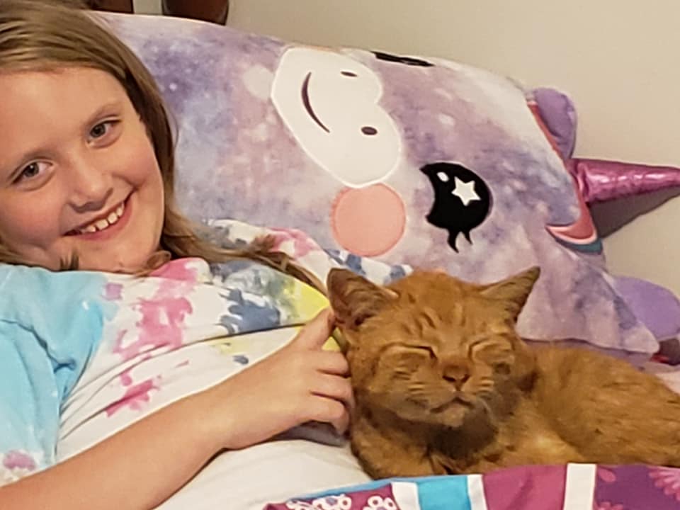 Farrells Tochter in ihrem Bett mit der Katze Pumpkin Jr. I Quelle: facebook.com/myhousenotmycat
