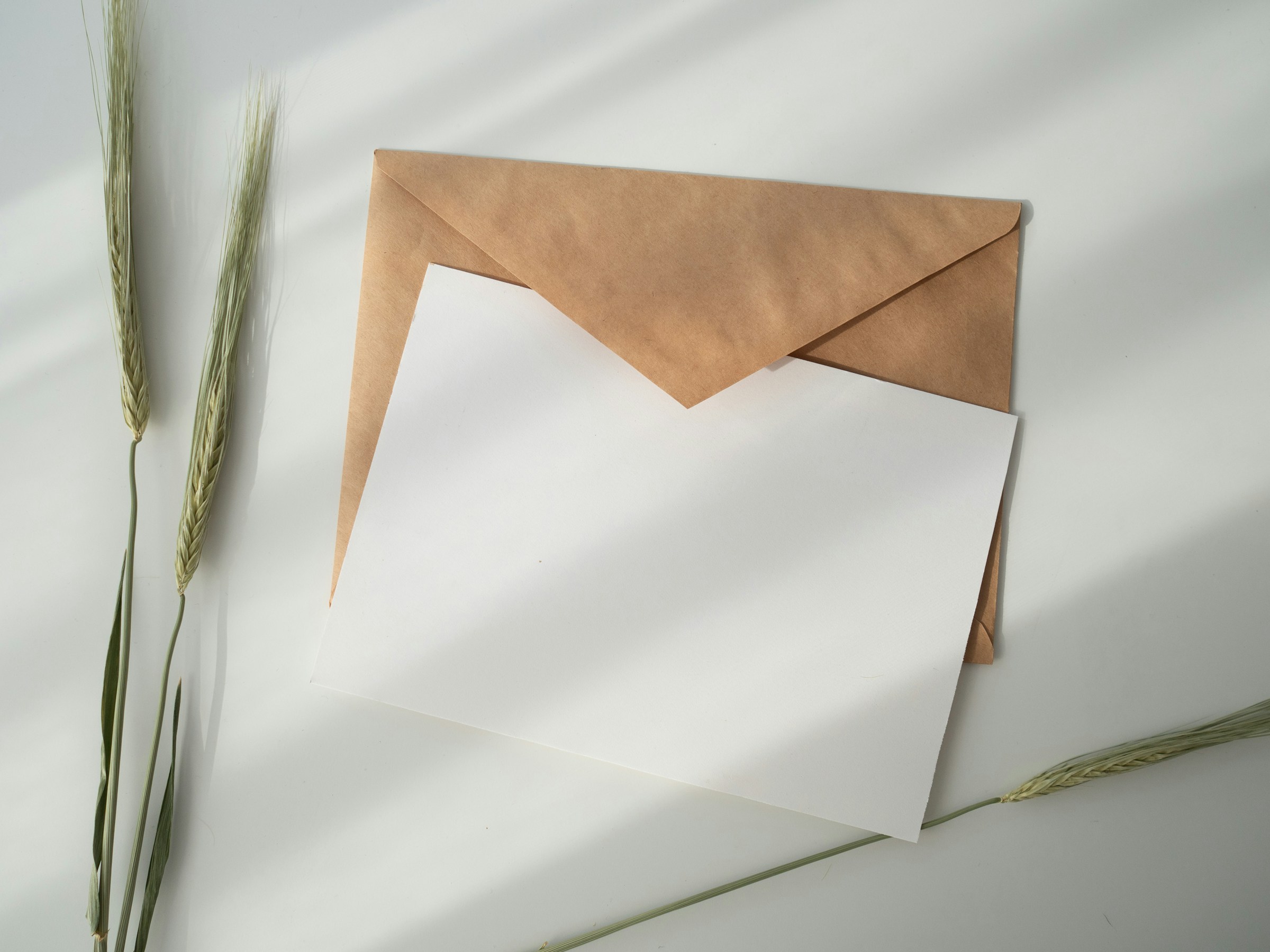 Brauner Umschlag mit weißem Papier | Quelle: Unsplash