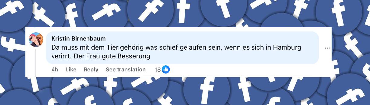 Facebook-Kommentar zu dem Vorfall | Quelle: facebook.com/share/r/1DqSpX3Bvm/