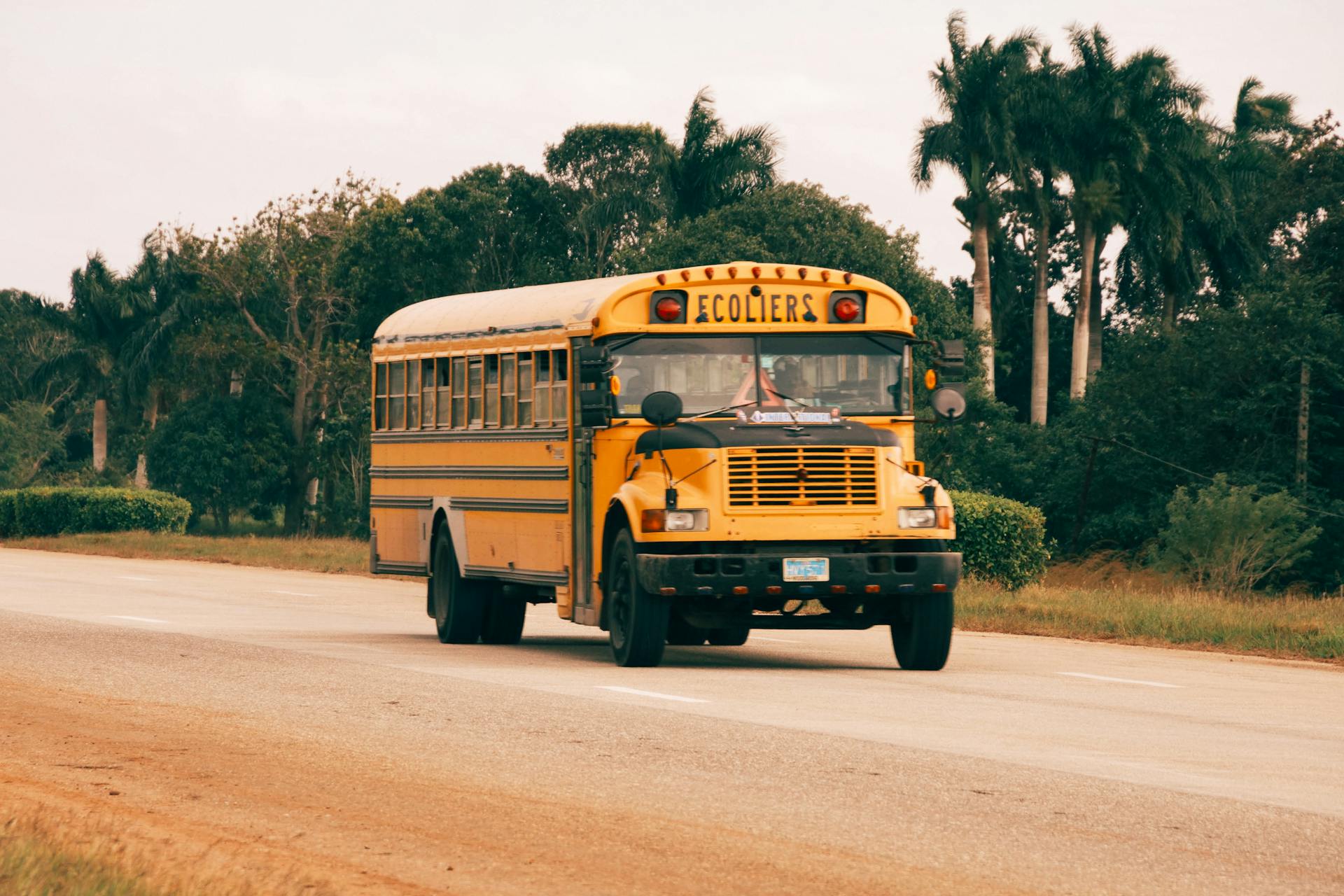 Ein Schulbus | Quelle: Pexels