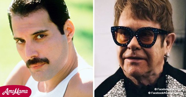 Elton John erzählte über die letzten Tage von Freddie Mercury