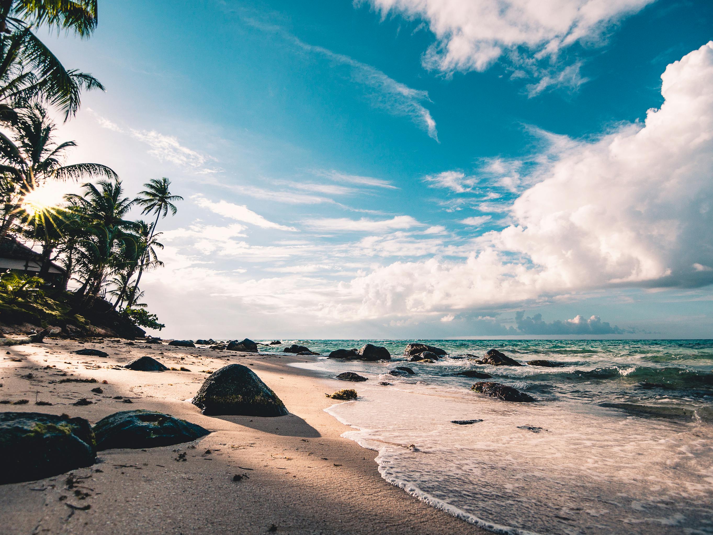 Ein sonniger Strand | Quelle: Pexels