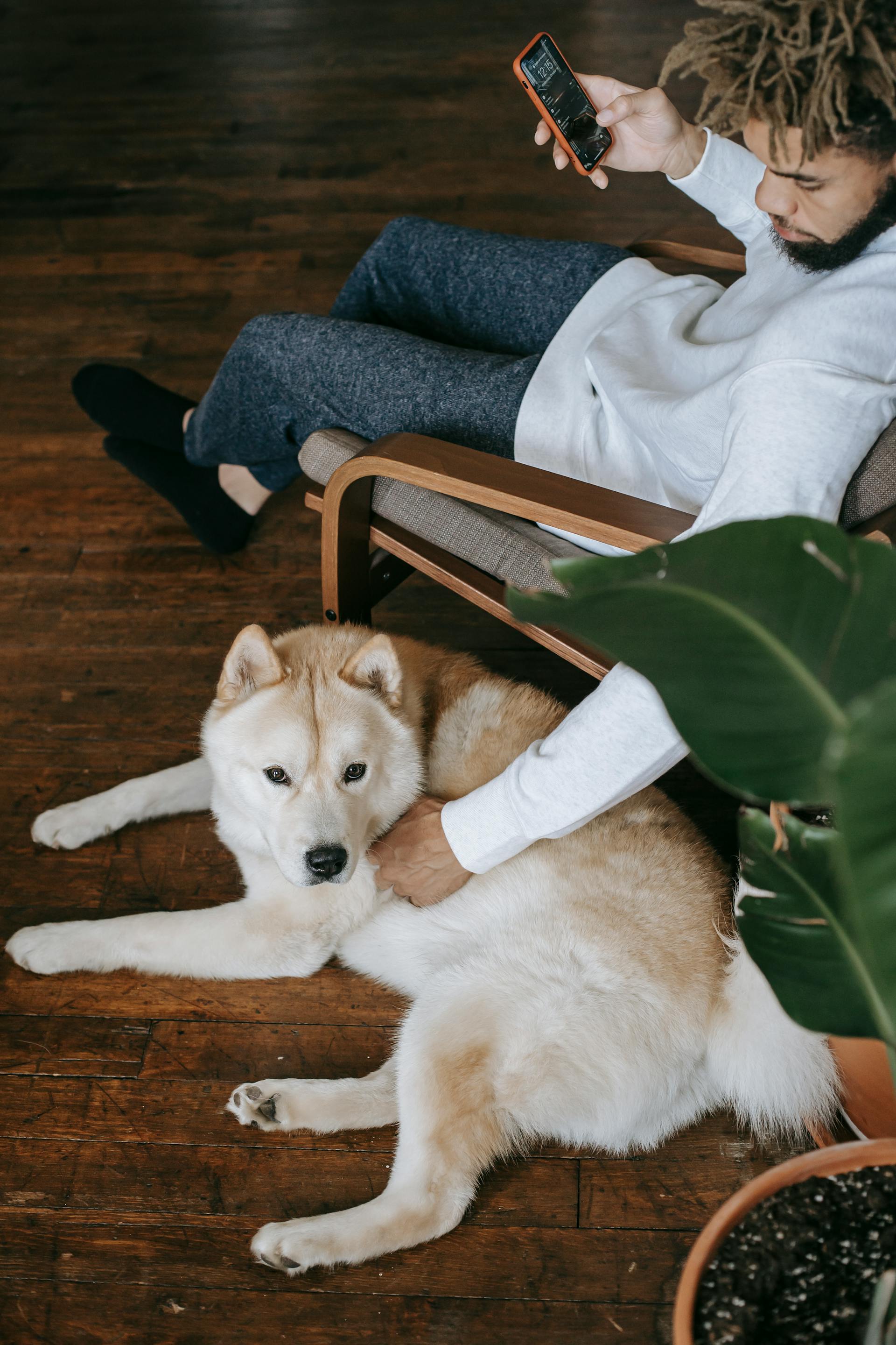 Ein Mann hält ein Telefon in der Hand und streichelt einen Hund | Quelle: Pexels