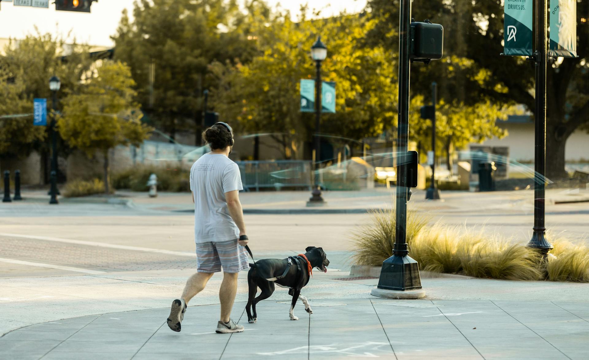 Ein Mann geht mit seinem Hund spazieren | Quelle: Pexels