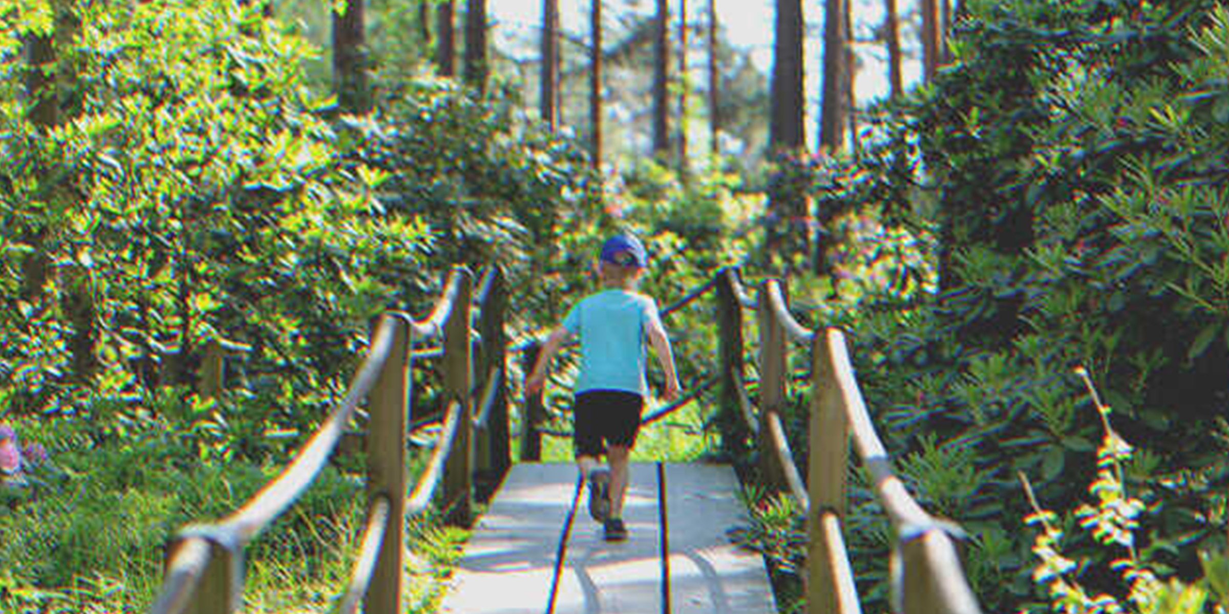 Junge auf einer Brücke im Wald | Quelle: Shutterstock