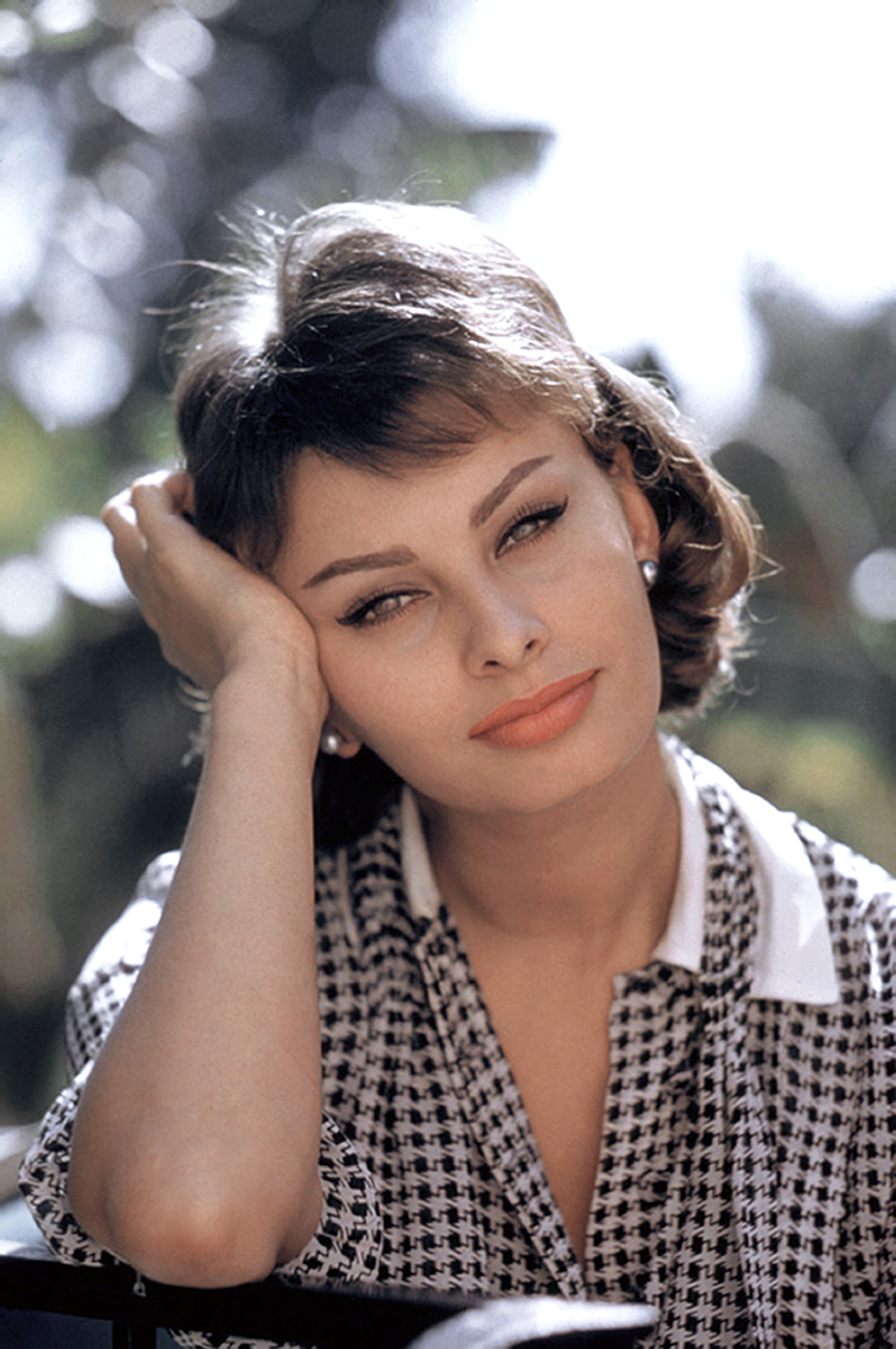 Sophia Loren Porträt in Los Angeles, Kalifornien, am 20. August 1958. | Quelle: Getty Images