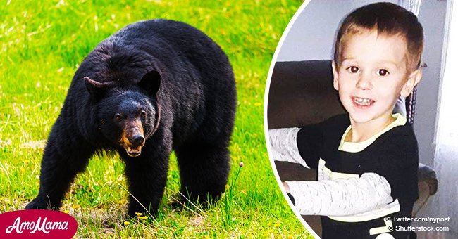3-jähriger Junge, der 2 Nächte im Wald überlebte, sagt, ein freundlicher Bär schützte ihn