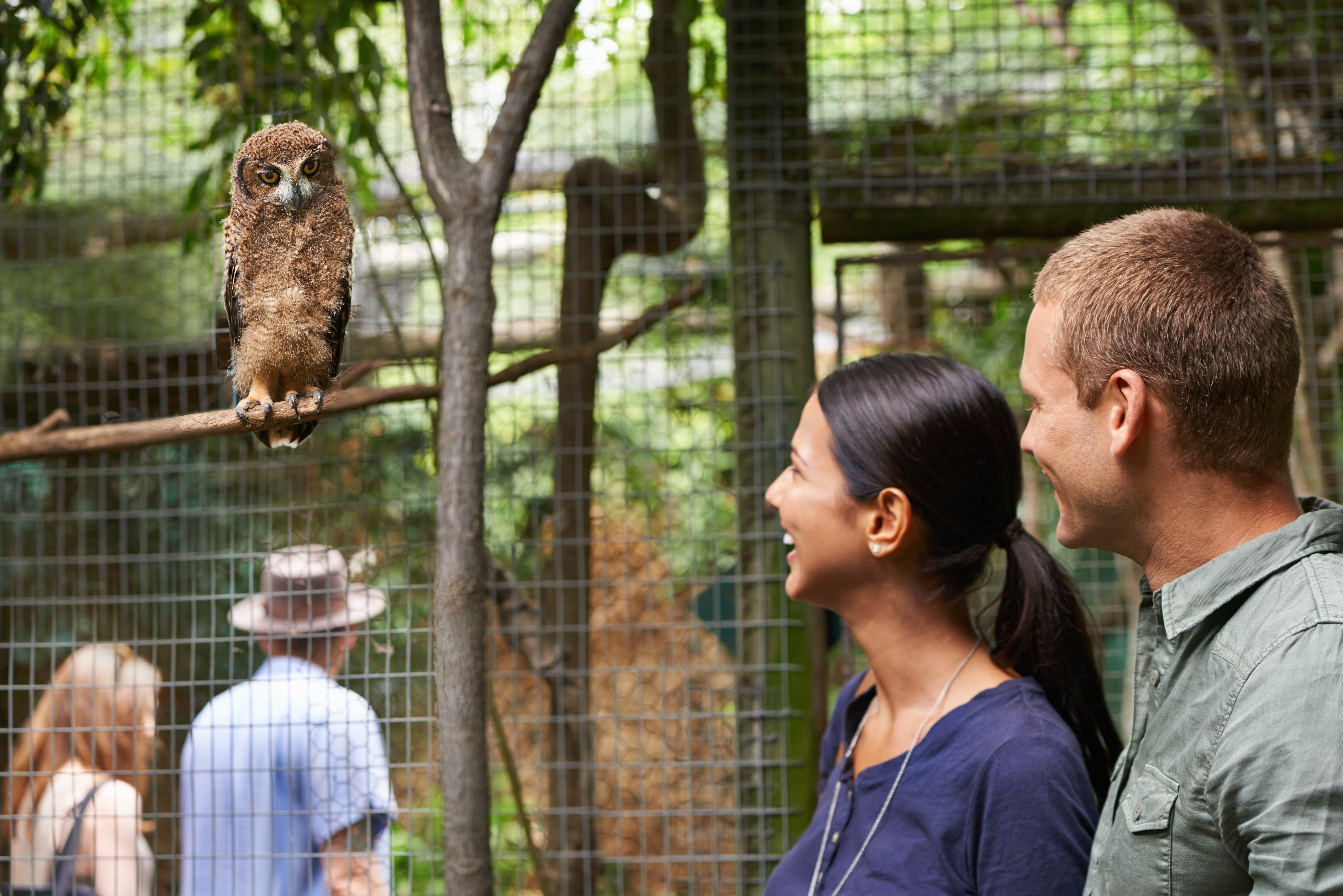 Junges Paar bei einem Date in einem Zoo | Quelle: Getty Images