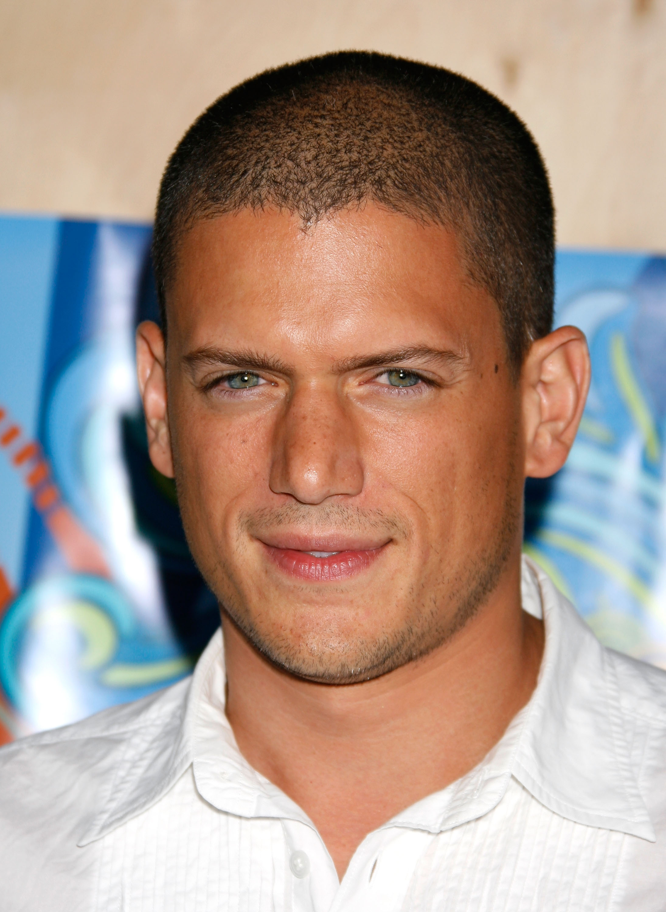 Wentworth Miller auf der FOX TCA Party am 23. Juli 2007 in Santa Monica, Kalifornien. | Quelle: Getty Images