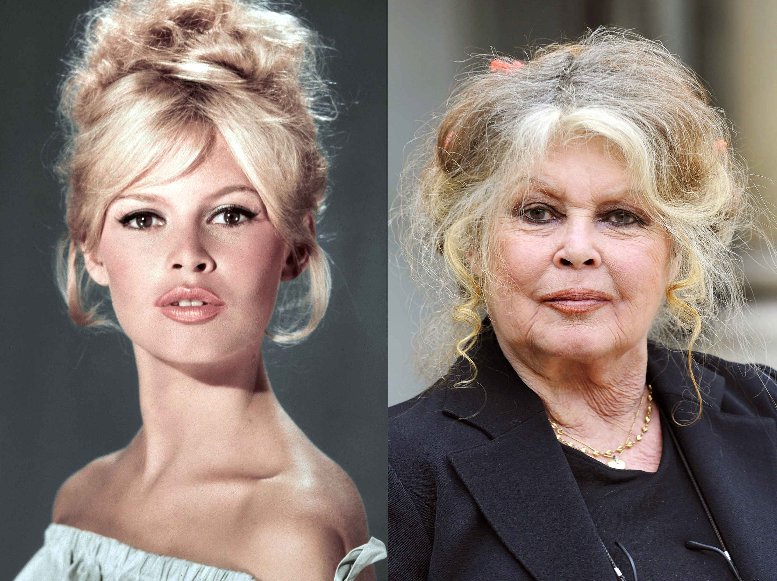 Brigitte Bardot, 1960 | Brigitte Bardot, 2007 | Quelle: Getty Images