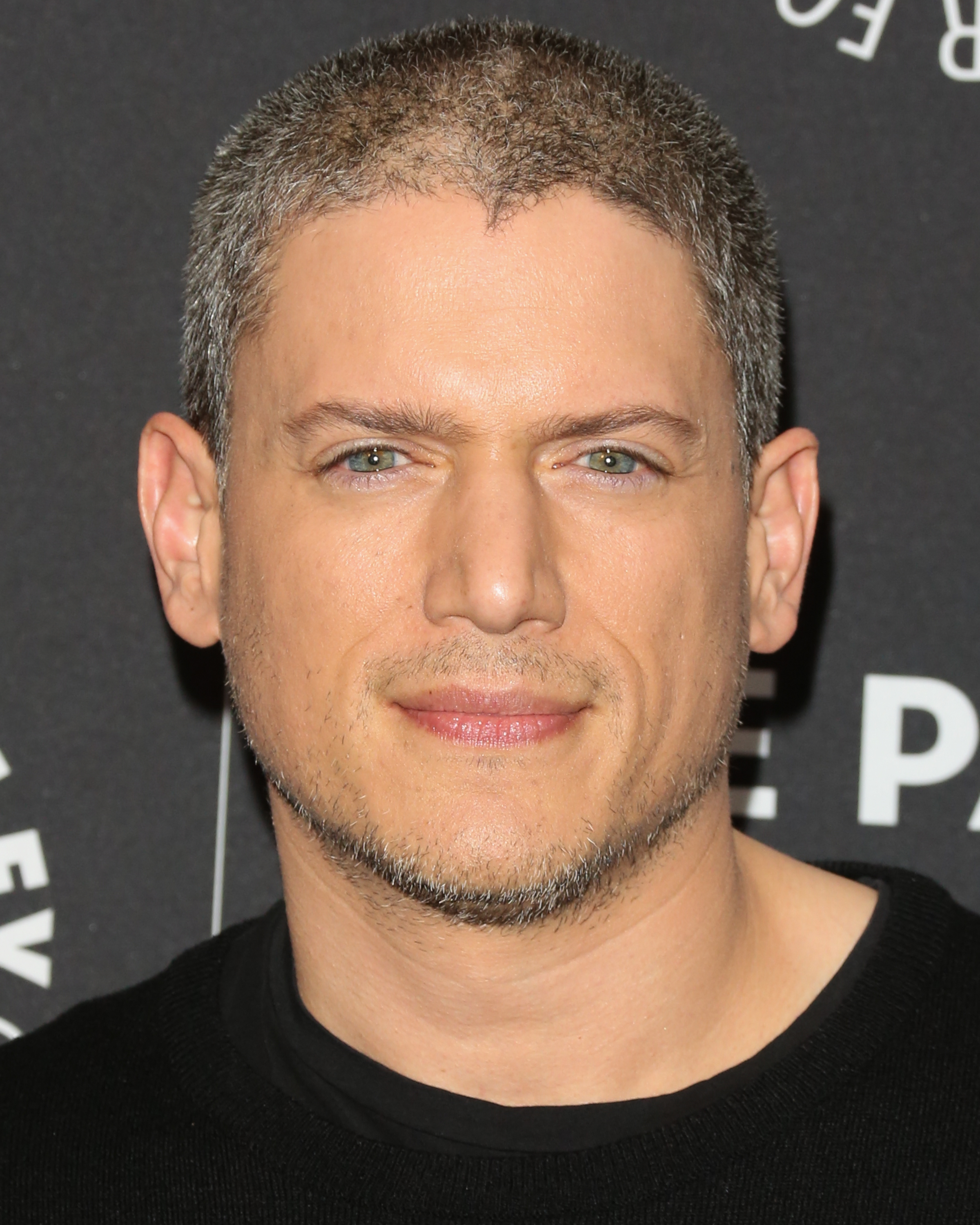 Wentworth Miller besucht die "Prison Break"-Vorführung und das Gespräch am 29. März 2017 in Beverly Hills, Kalifornien. | Quelle: Getty Images