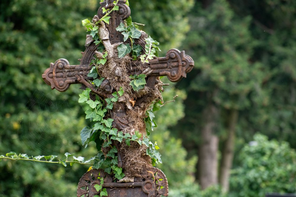 Altes rotes Kruzifix auf dem mit Efeu bedeckten Friedhof. I Quelle: Shutterstock